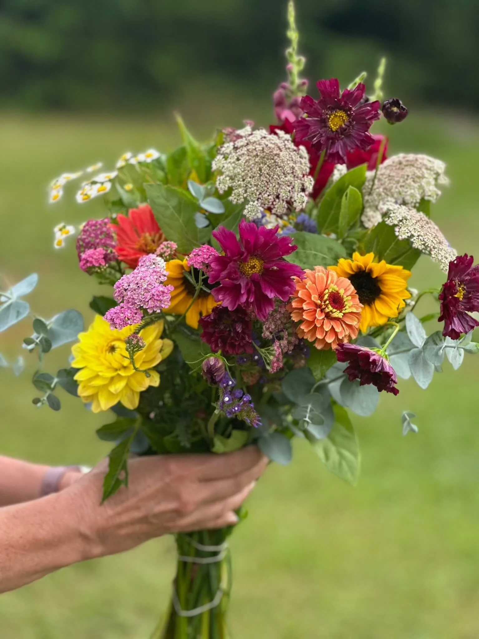 Early Bird- 2026 Full Season Flower CSA Subscription-$50 OFF