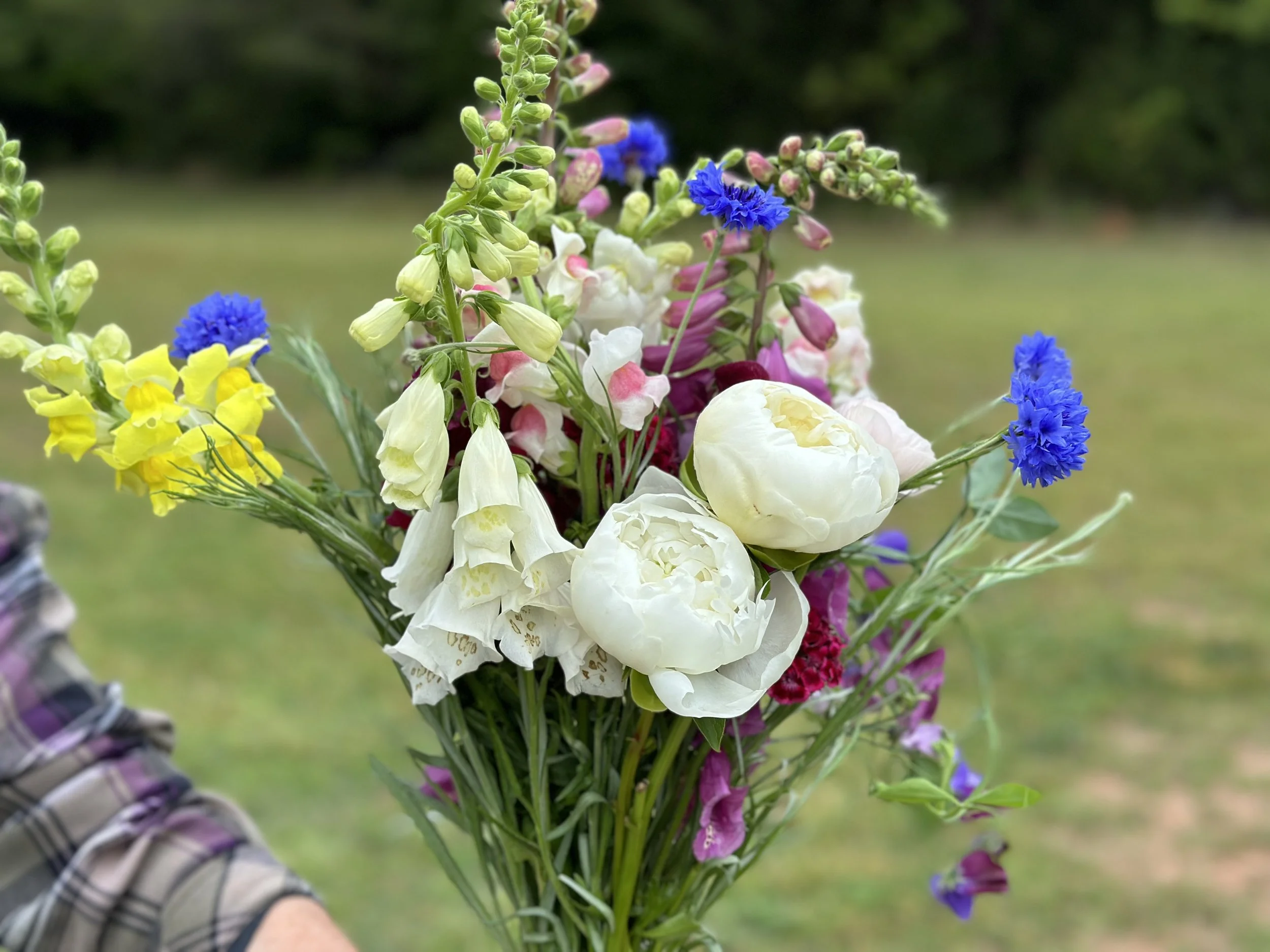 IMG_4609.jpeg (Copy)