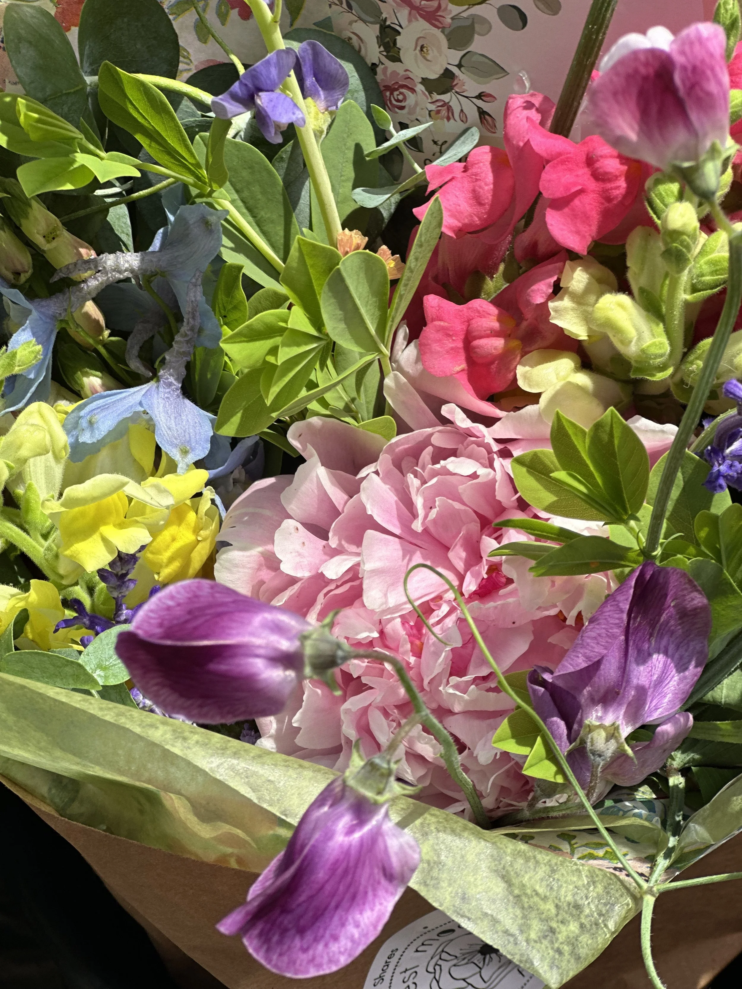 IMG_4696.jpeg (Copy)