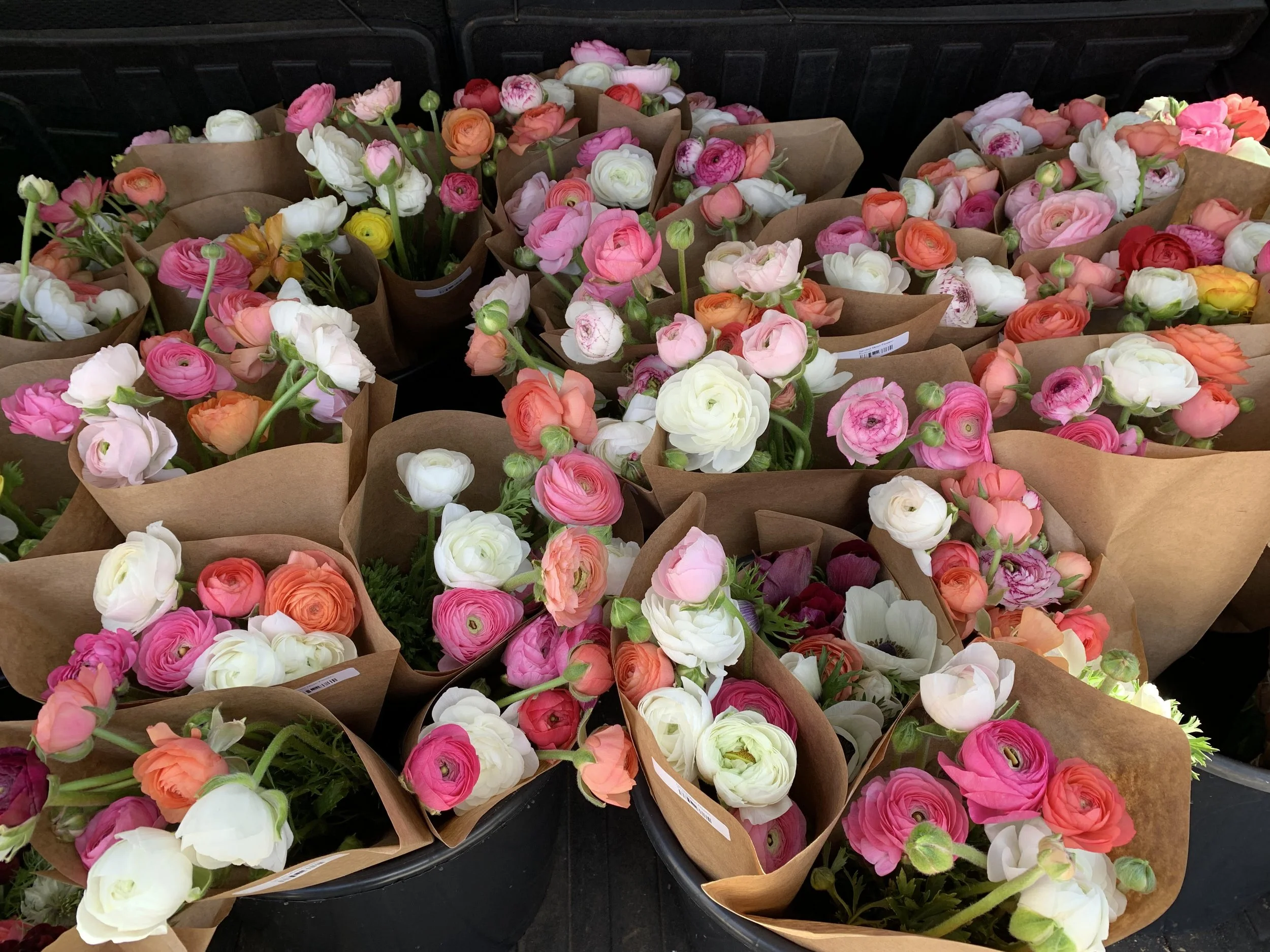 2026 March Flower CSA Subscription