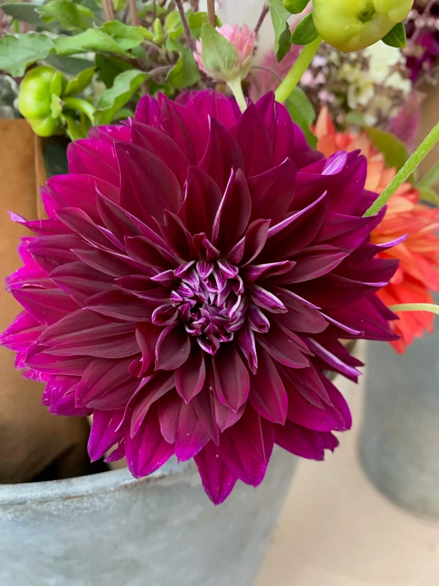 2026 September Flower CSA Subscription