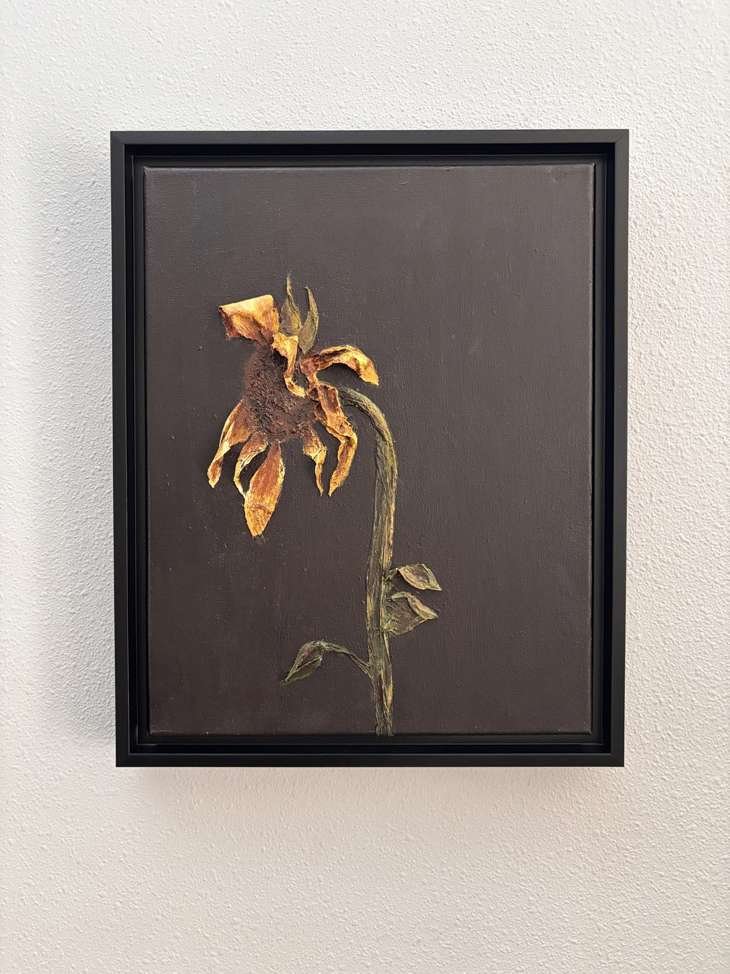 Sunflowers Vol. 2 —Softening