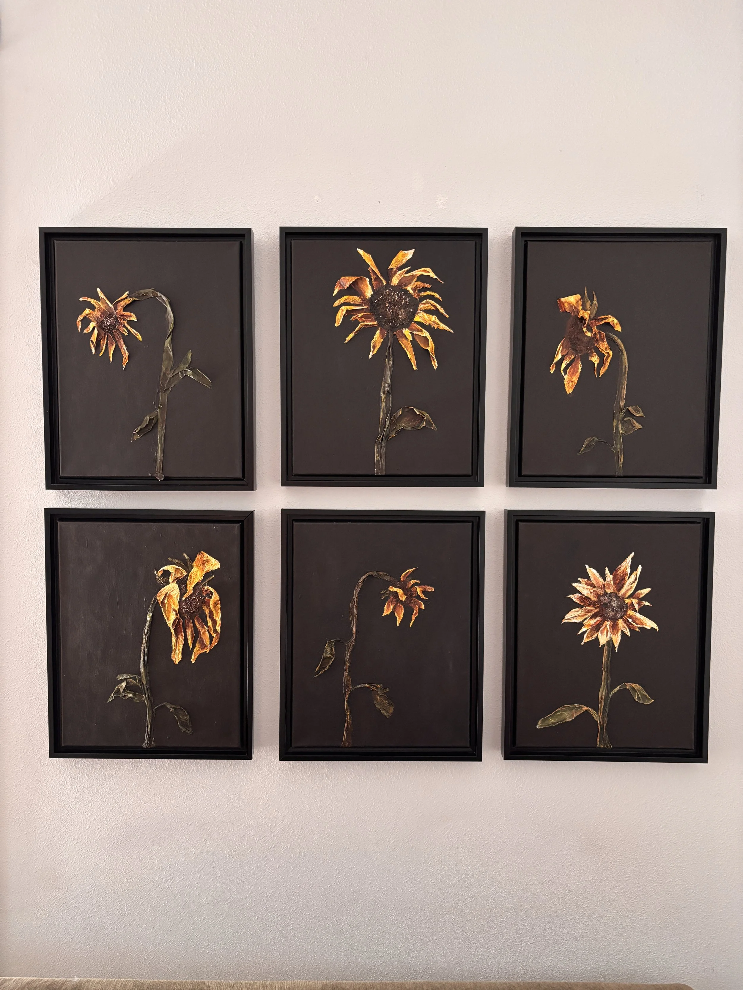 mixed media sunflower paintings on black background, sunflower wall art collection
