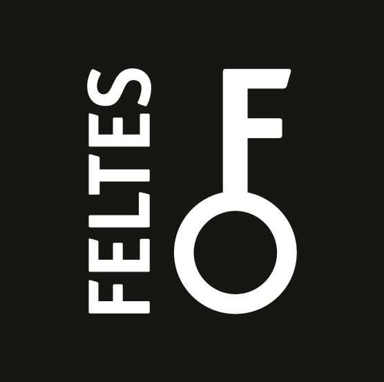 07955_FELTES_LIGNE VISUELLE_LOGOS_RGB_FELTES GROUP NOIR.png