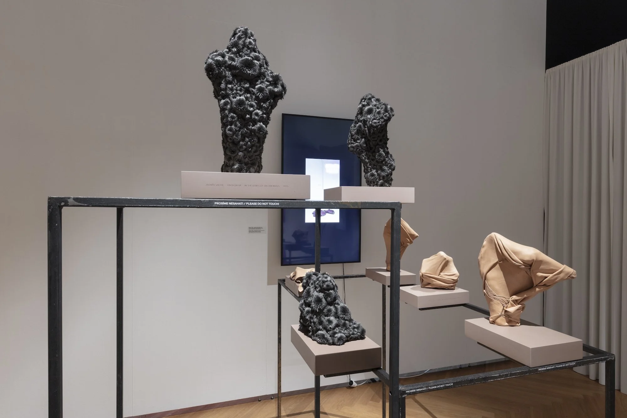 ZV_DarkNLush_Exhibition19.jpg
