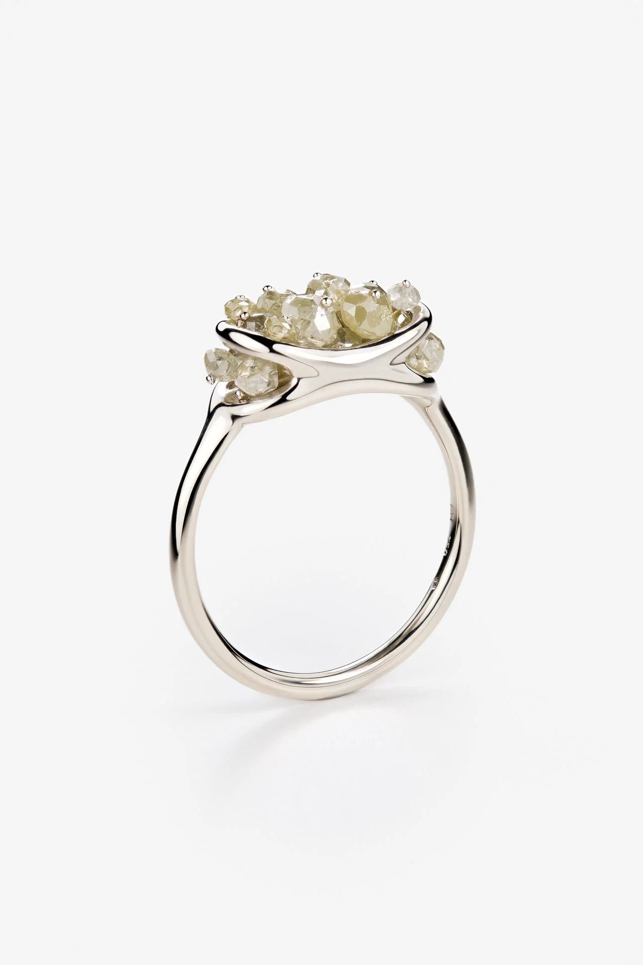 ZDENEK VACEK-ZUZANA_BESPOKE.jpg