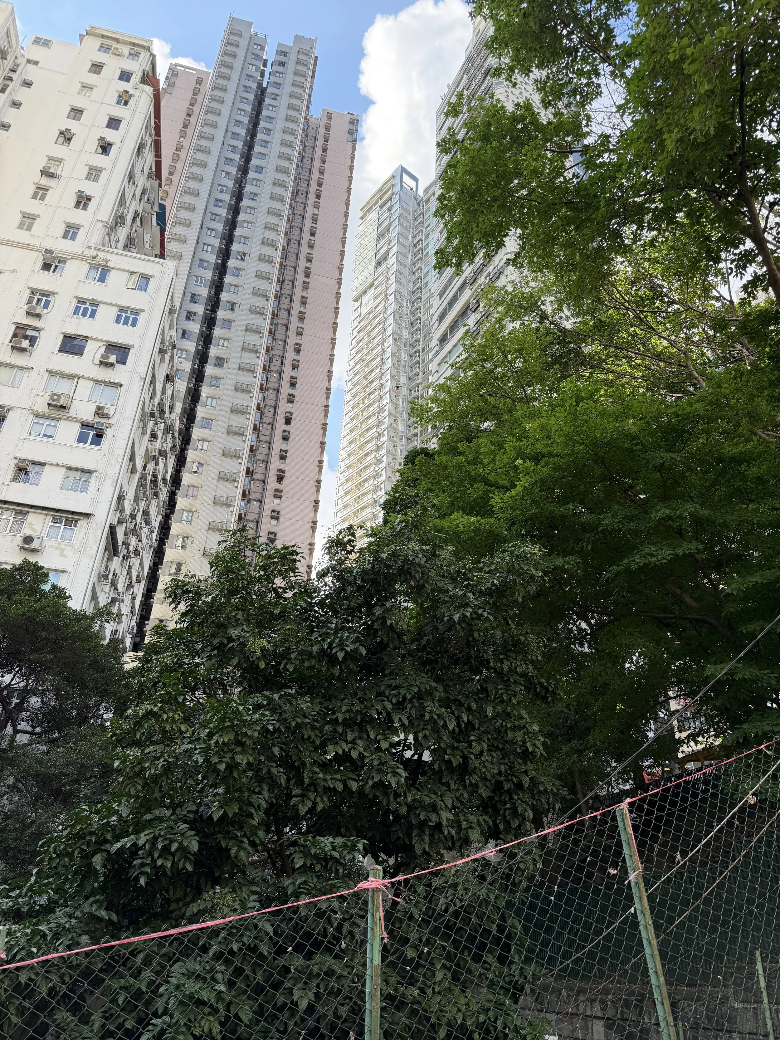 Hong Kong City.JPG