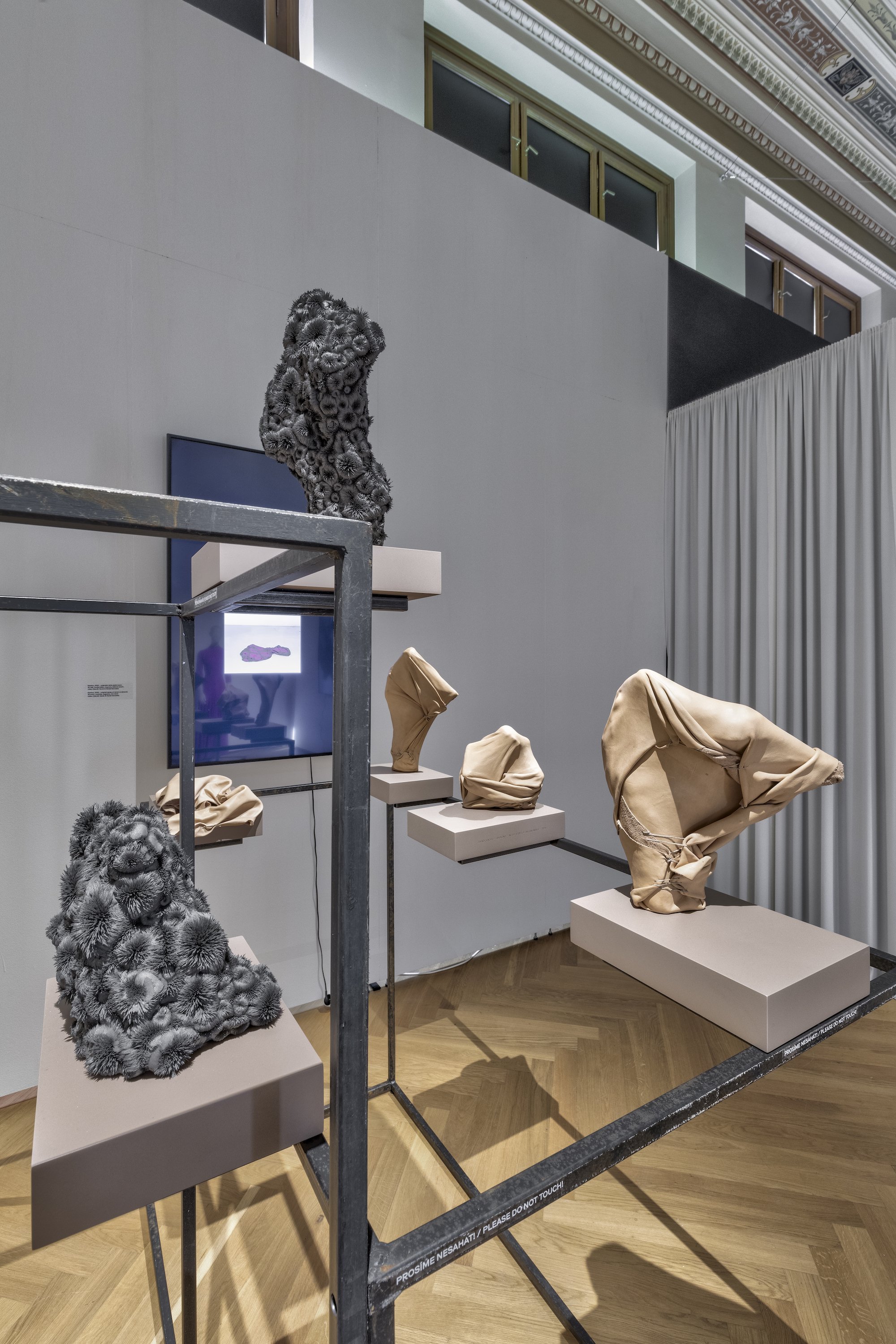ZV_DarkNLush_Exhibition31.jpg