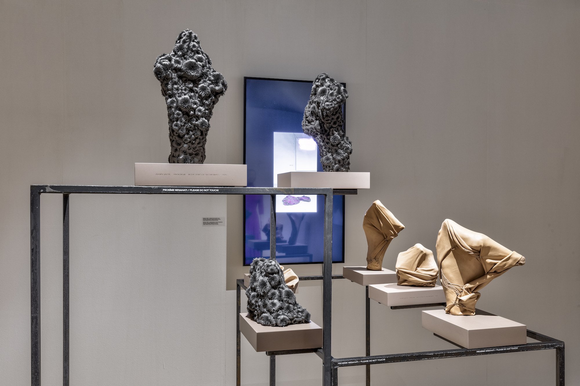 ZV_DarkNLush_Exhibition20.jpg