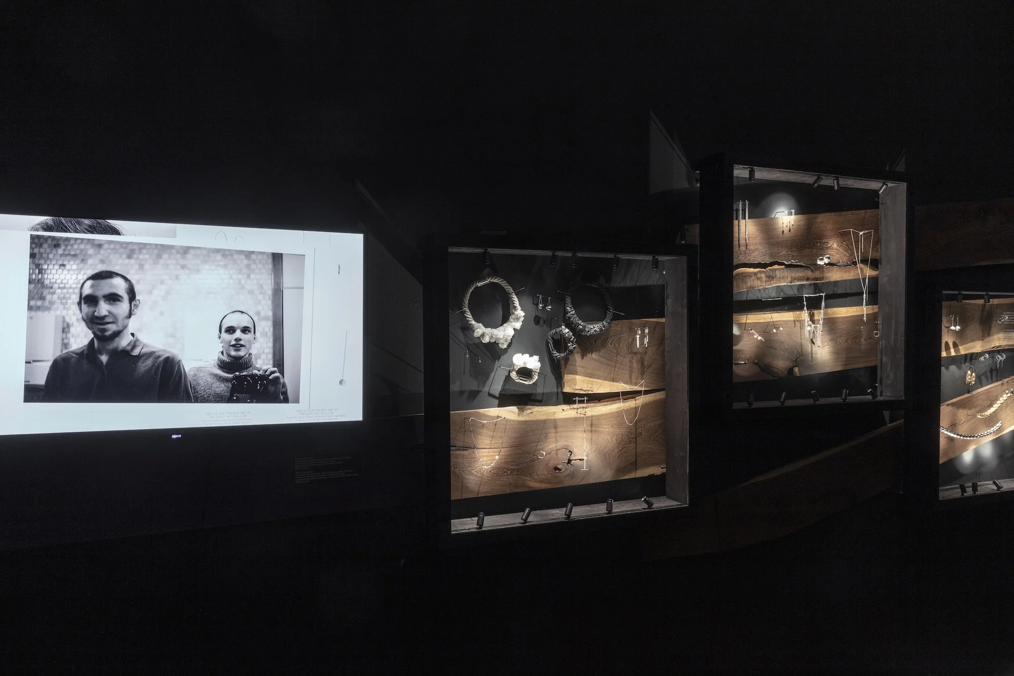 ZV_DarkNLush_Exhibition36.jpg