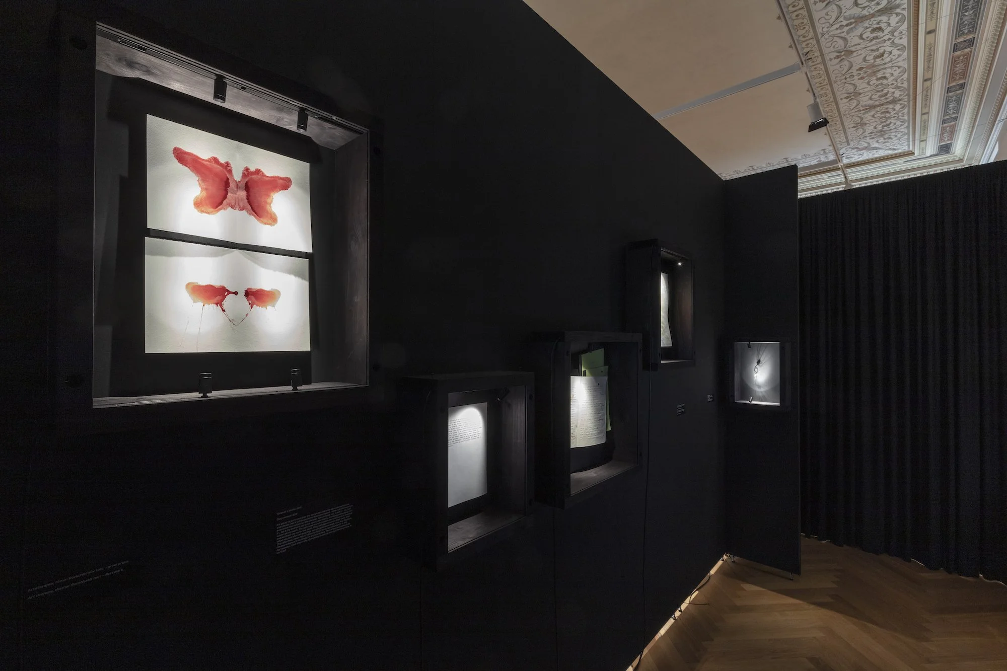 ZV_DarkNLush_Exhibition33.jpg