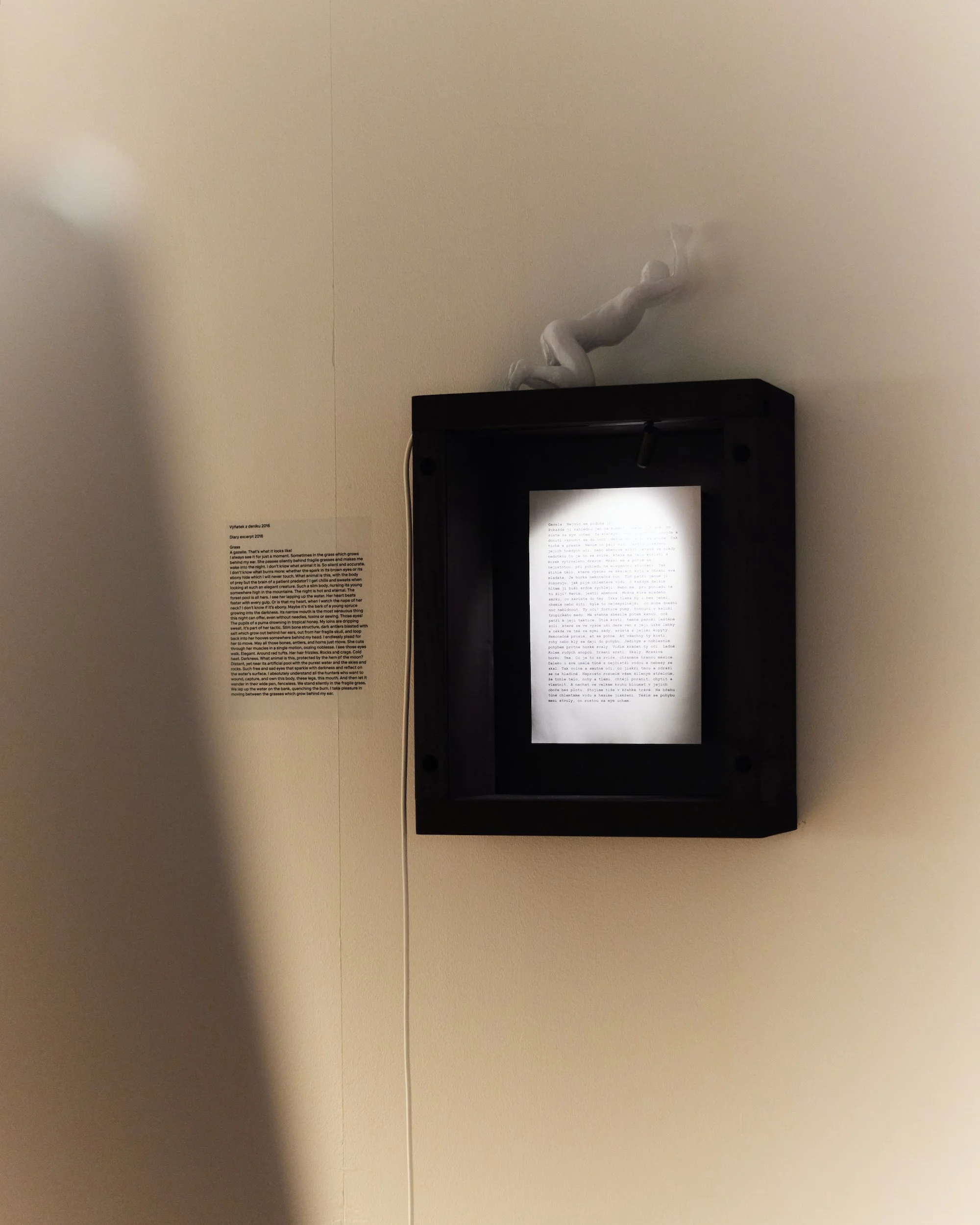 zVacek_instalace 5.jpg