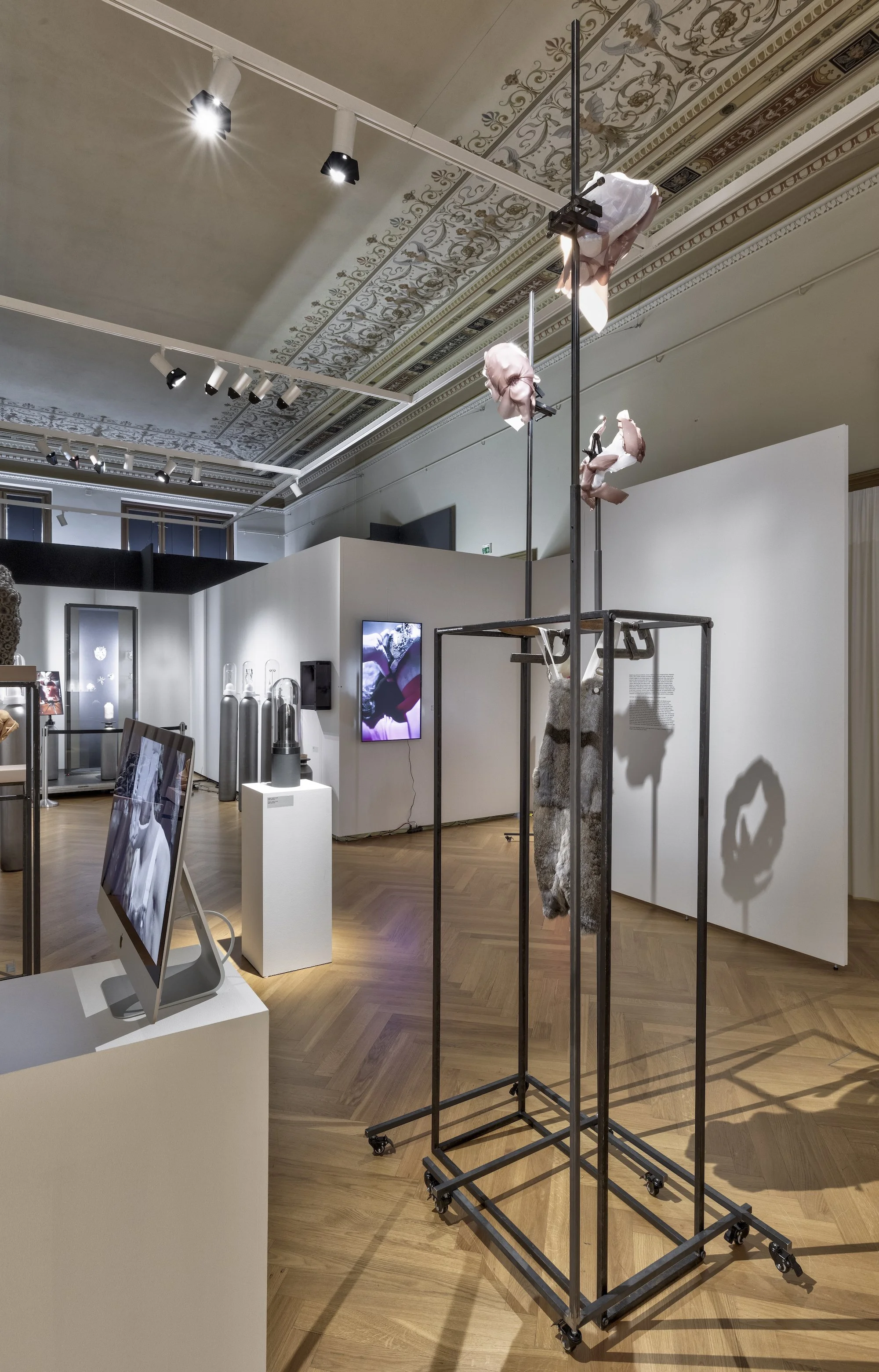 ZV_DarkNLush_Exhibition12.jpg