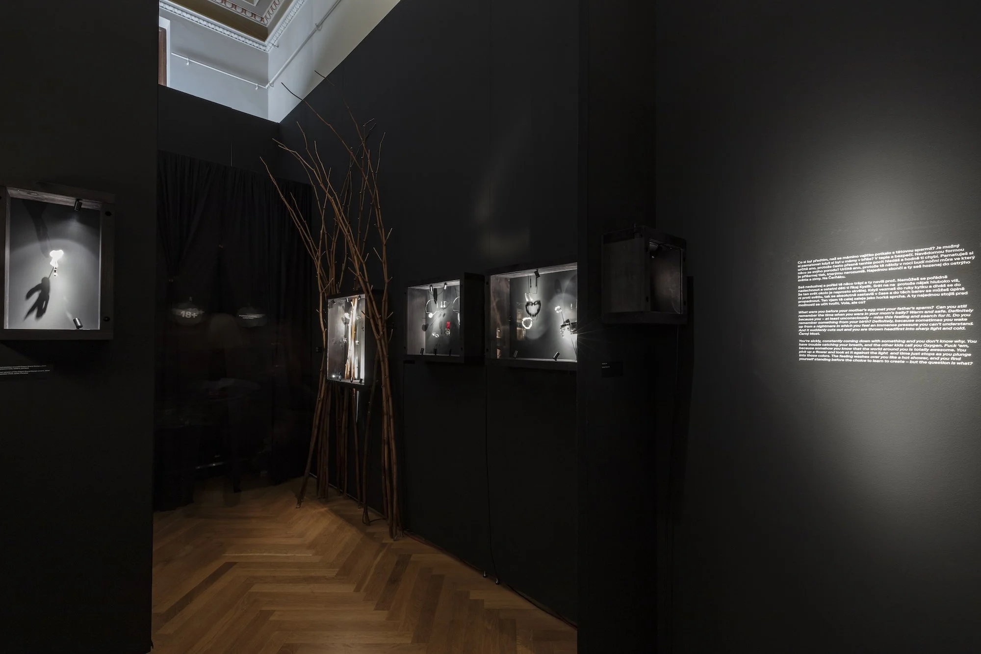 ZV_DarkNLush_Exhibition43.jpg