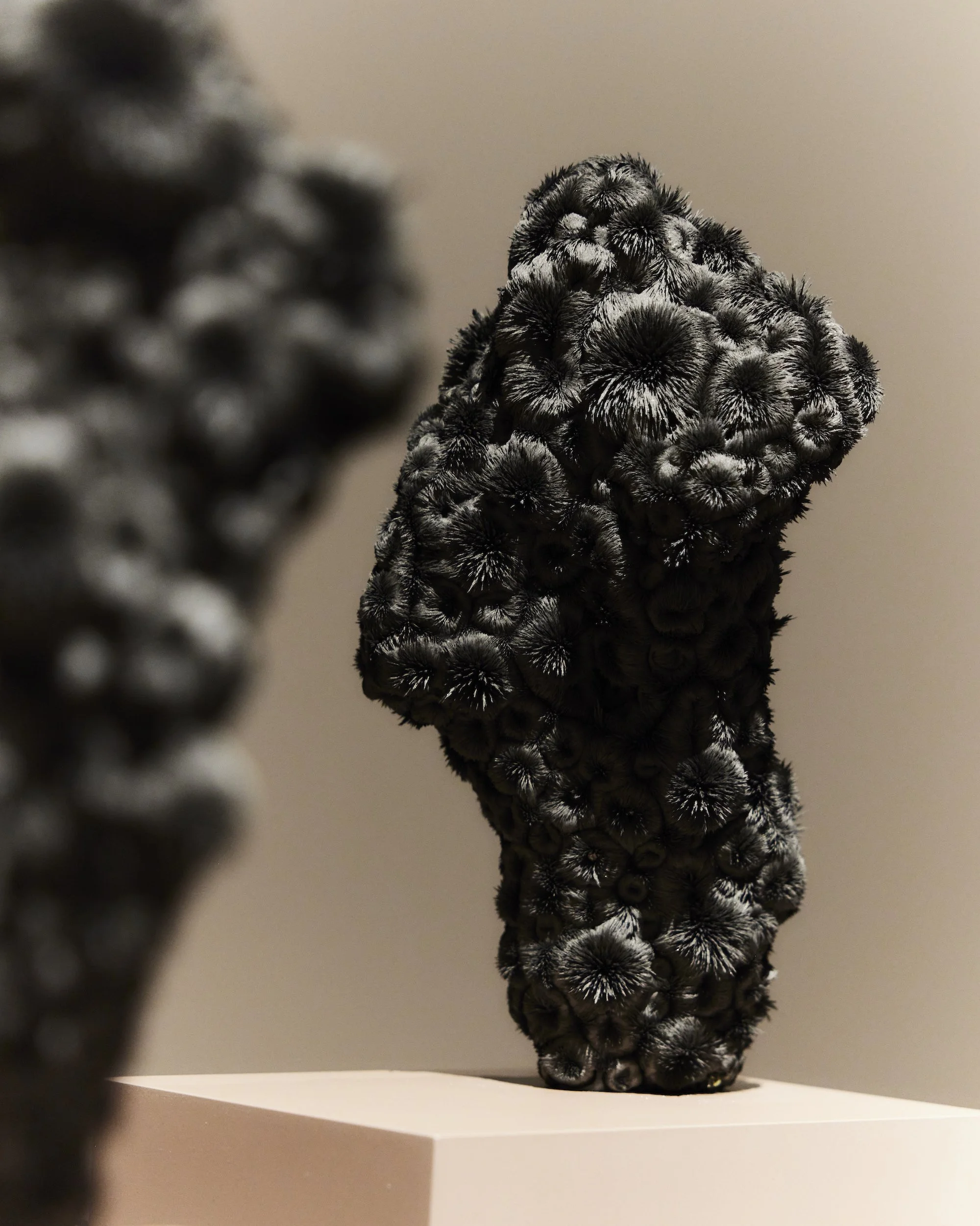 zVacek_instalace 2.jpg