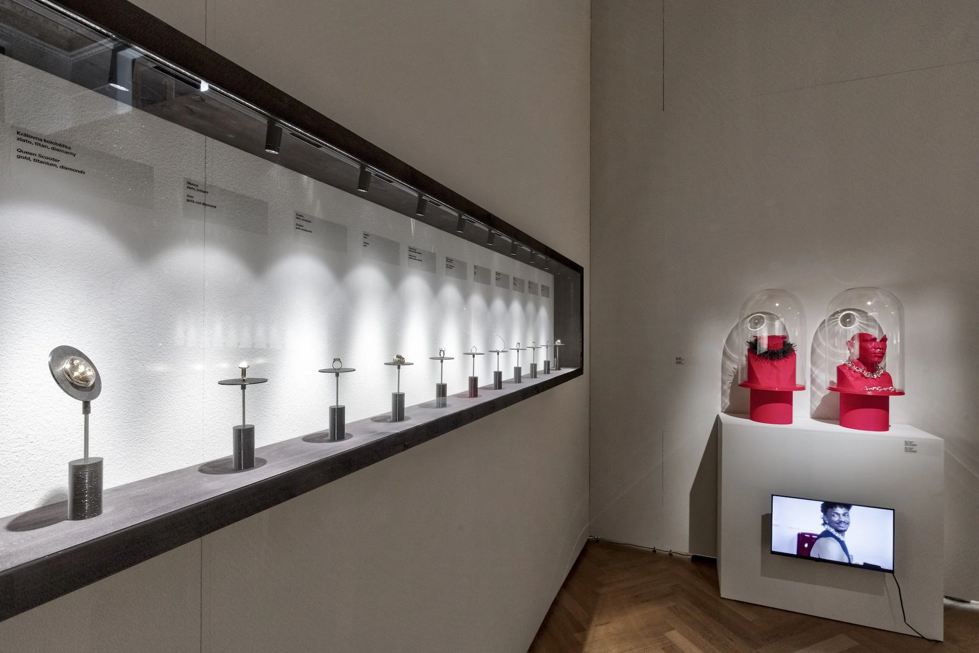 ZV_DarkNLush_Exhibition1.jpg