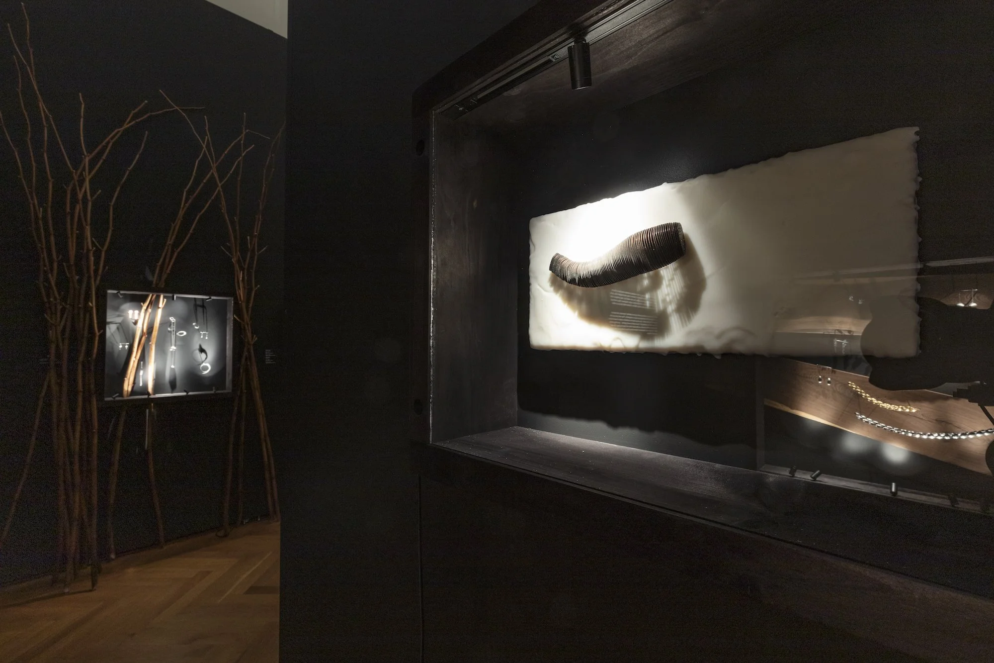 ZV_DarkNLush_Exhibition39.jpg