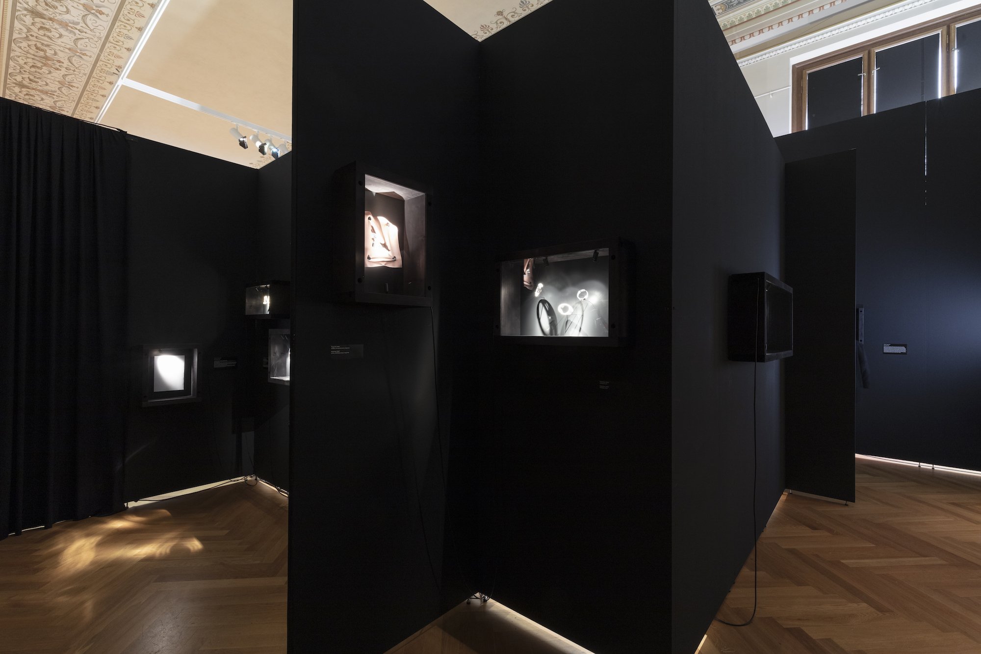 ZV_DarkNLush_Exhibition41.jpg