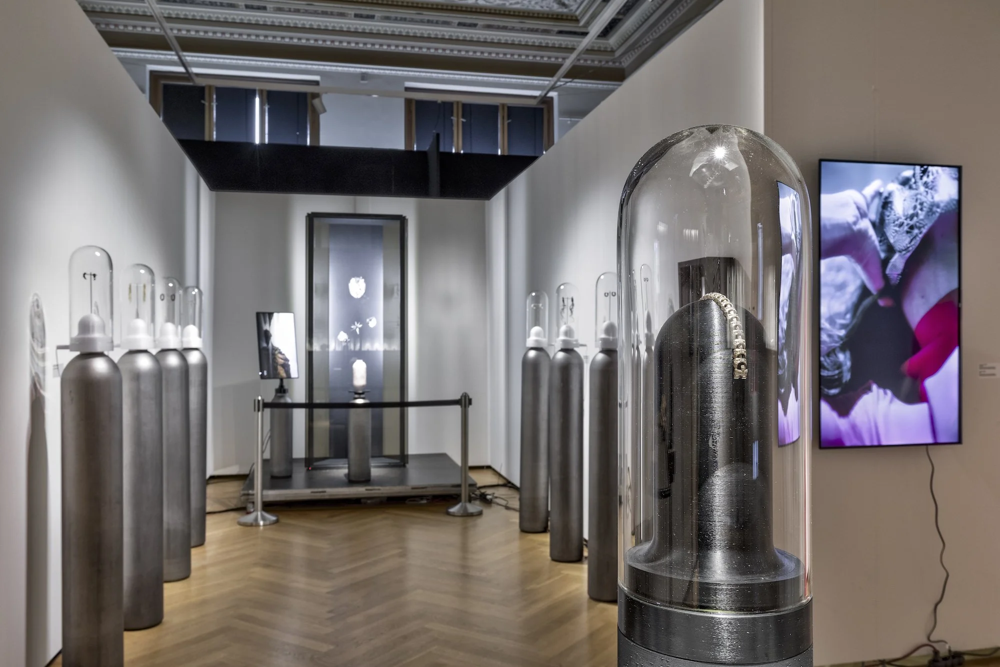 ZV_DarkNLush_Exhibition16.jpg