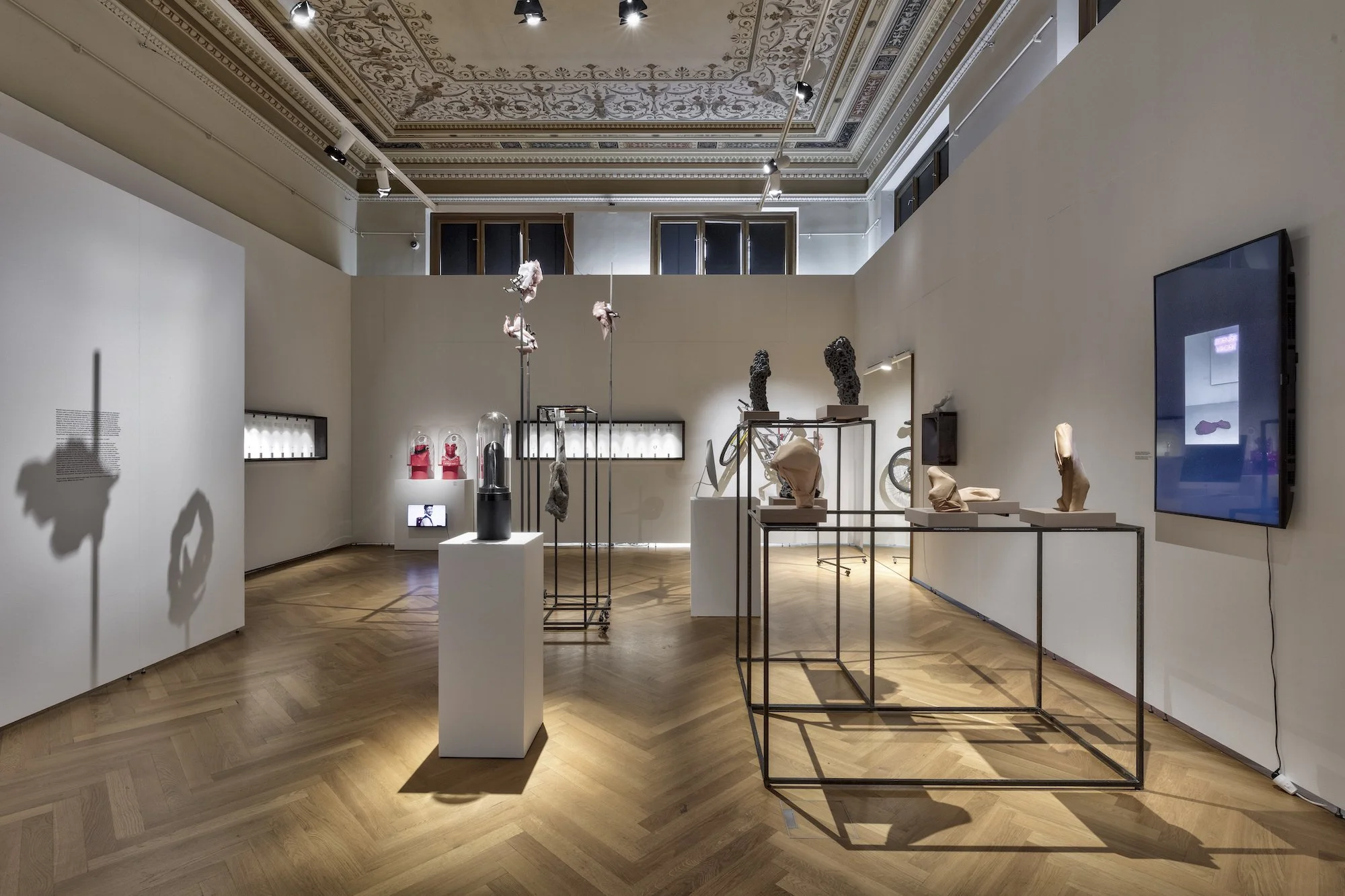 ZV_DarkNLush_Exhibition23.jpg