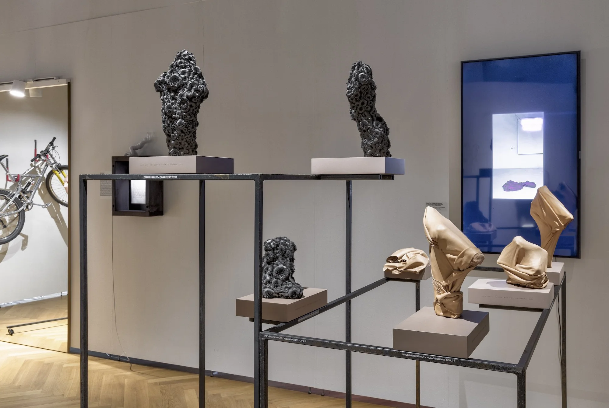 ZV_DarkNLush_Exhibition18.jpg