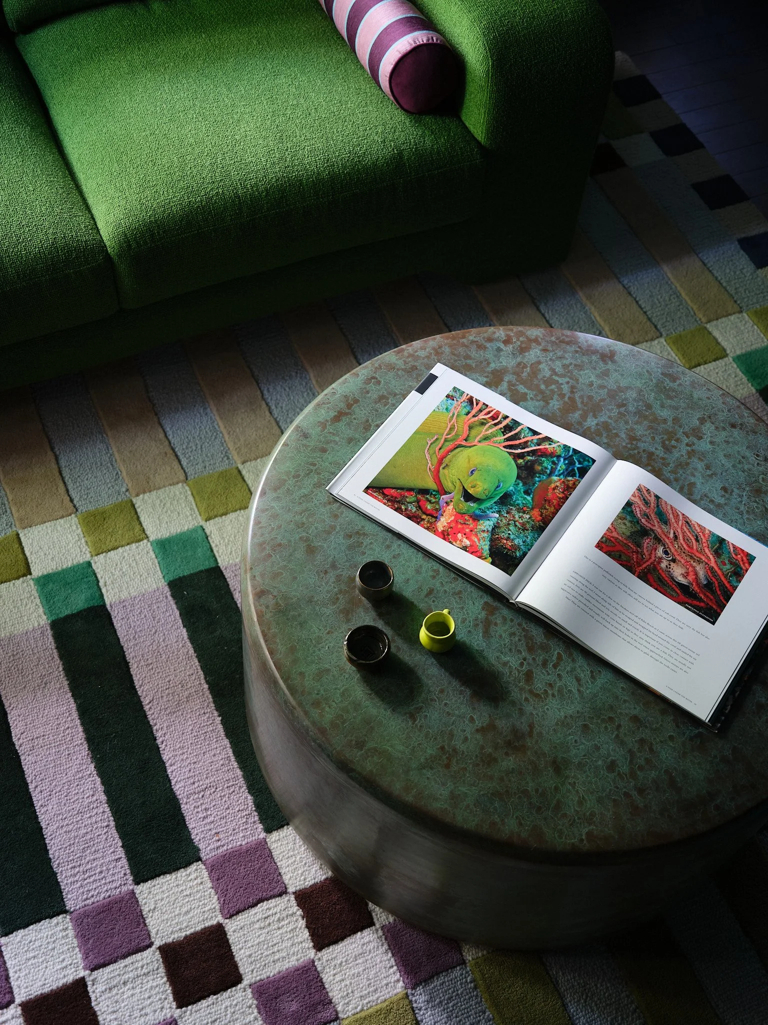 Chinotto liquid springs2125.jpg