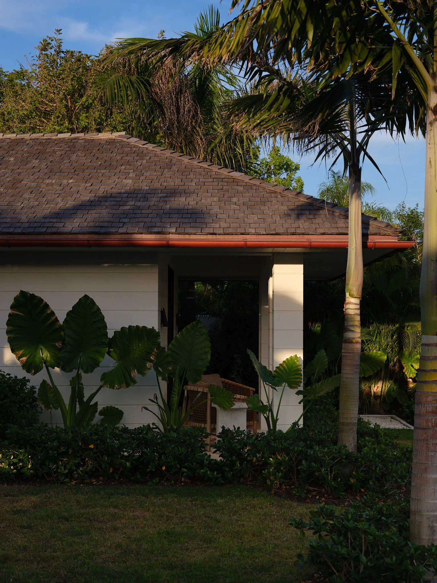 DSCF7156.jpg