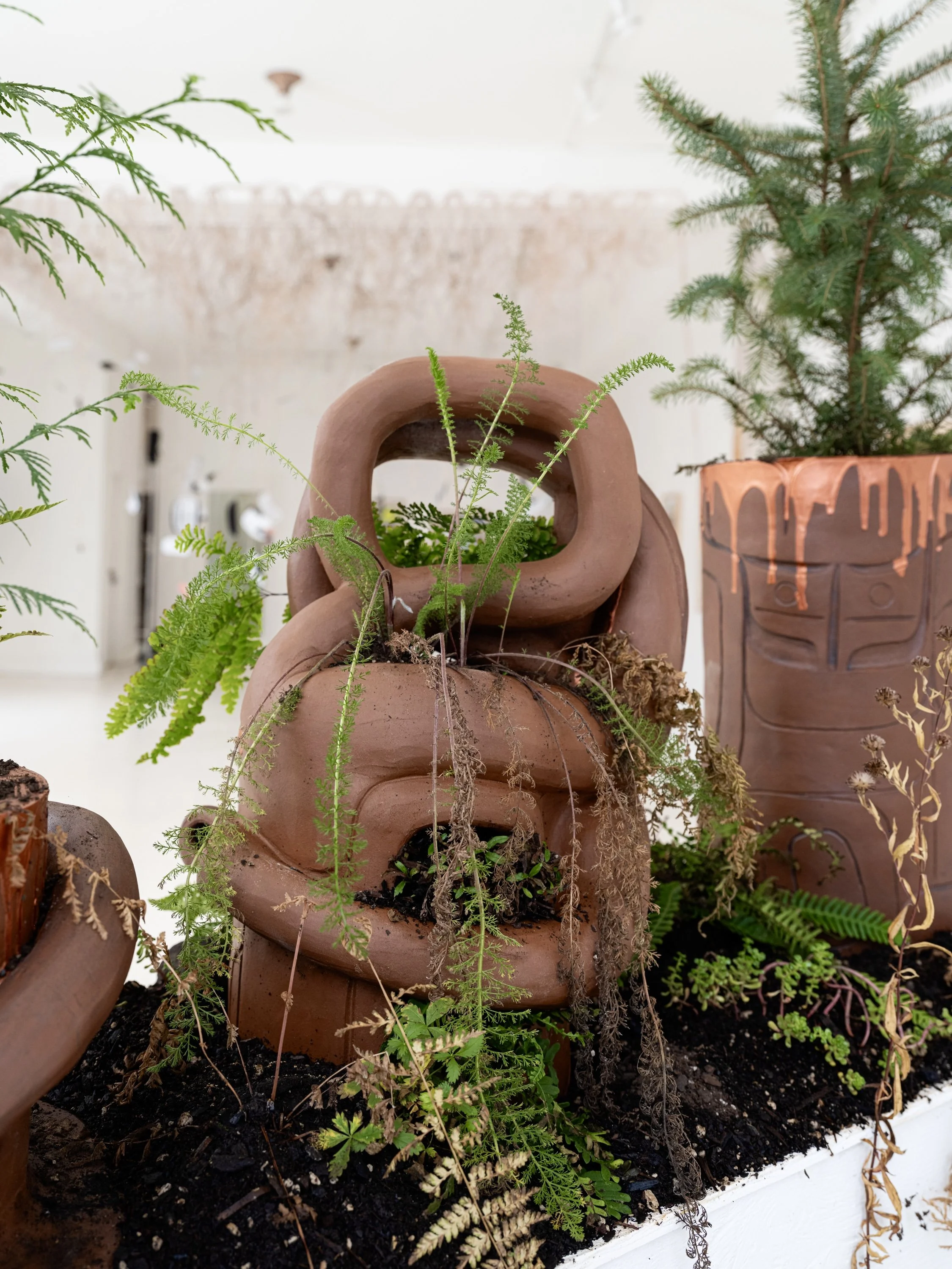 dlagáng / jaagúuhl / k’wíi / xíl kuyáas / xiláay / xíinanggaang / giid hlíing
(to hold, to carry / to fall in love / soil / plant / blossom / one’s own life / roots), detail