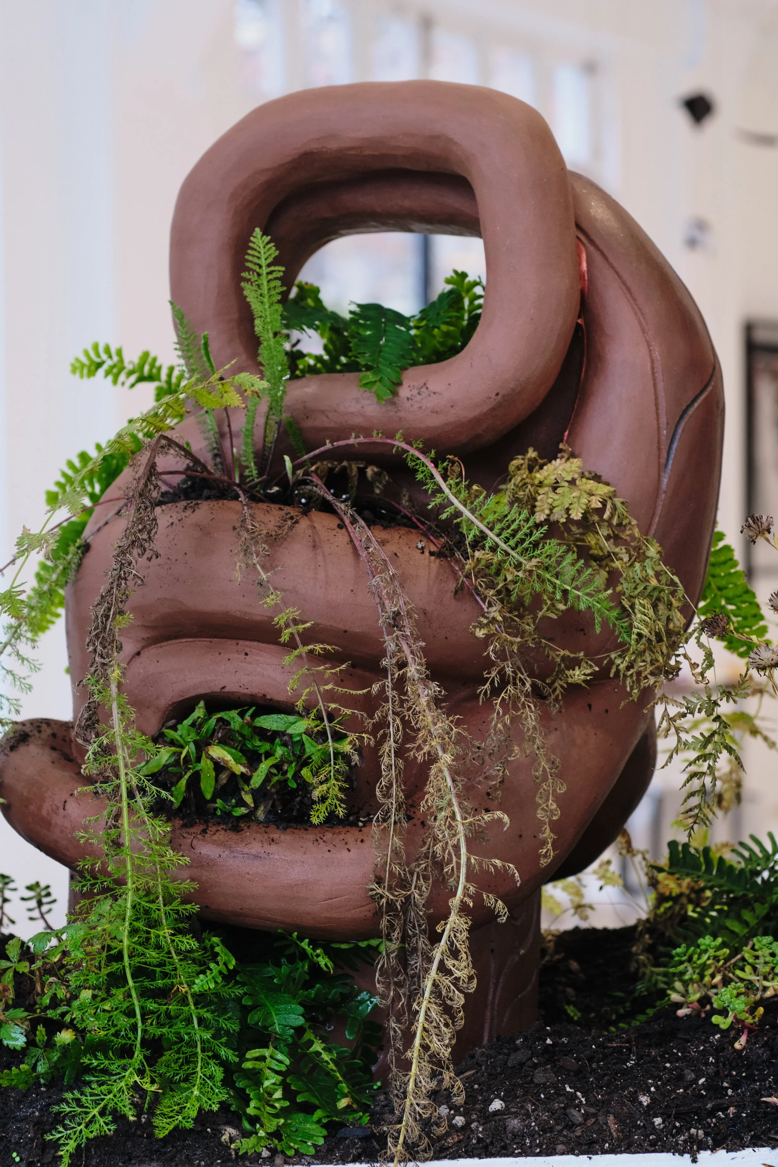 dlagáng / jaagúuhl / k’wíi / xíl kuyáas / xiláay / xíinanggaang / giid hlíing
(to hold, to carry / to fall in love / soil / plant / blossom / one’s own life / roots), detail