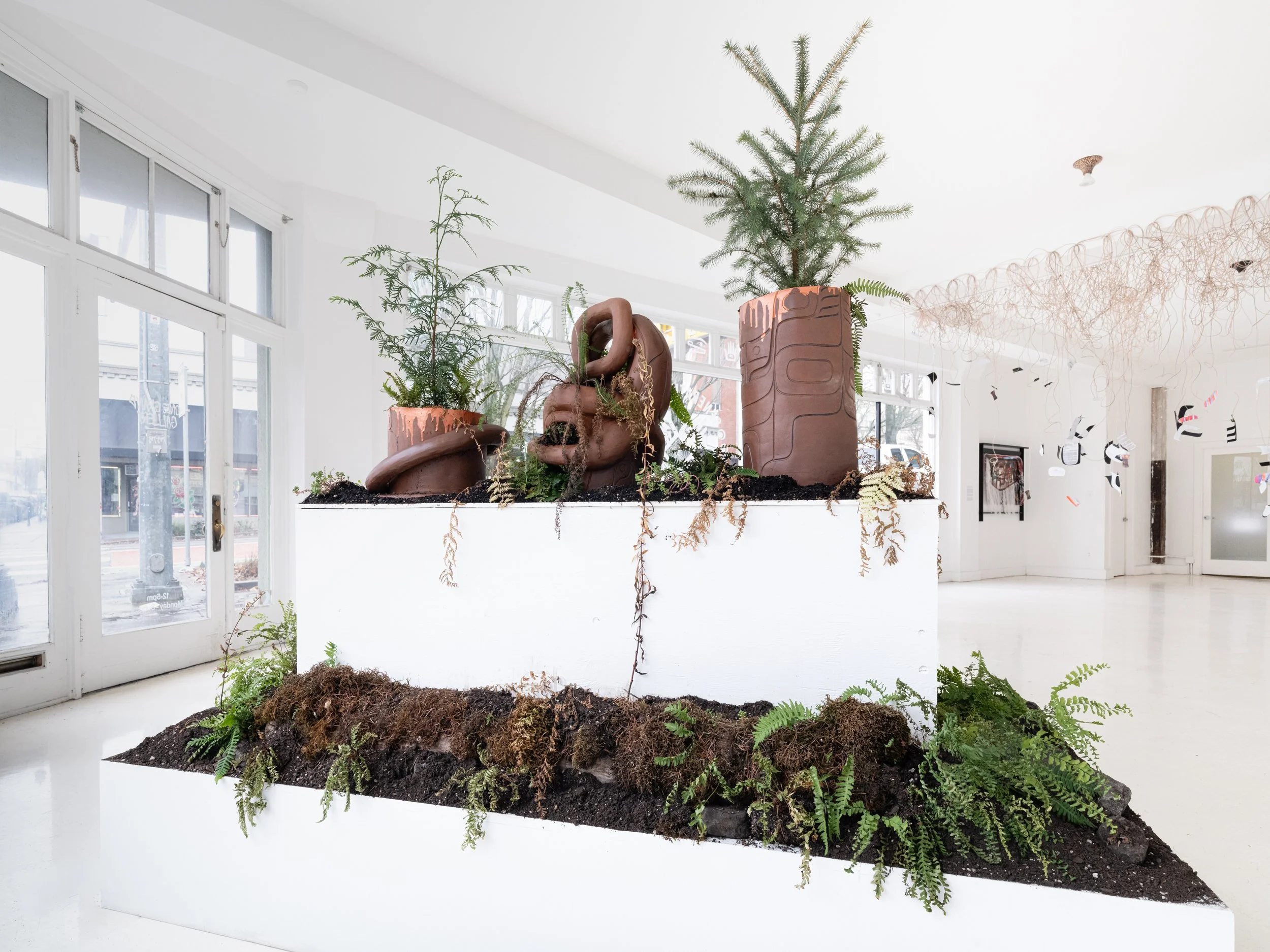 dlagáng / jaagúuhl / k’wíi / xíl kuyáas / xiláay / xíinanggaang / giid hlíing
(to hold, to carry / to fall in love / soil / plant / blossom / one’s own life / roots)
terra cotta, soil, sitka spruce, red cedar, fireweed, forget-me-not, mugwort, cinque