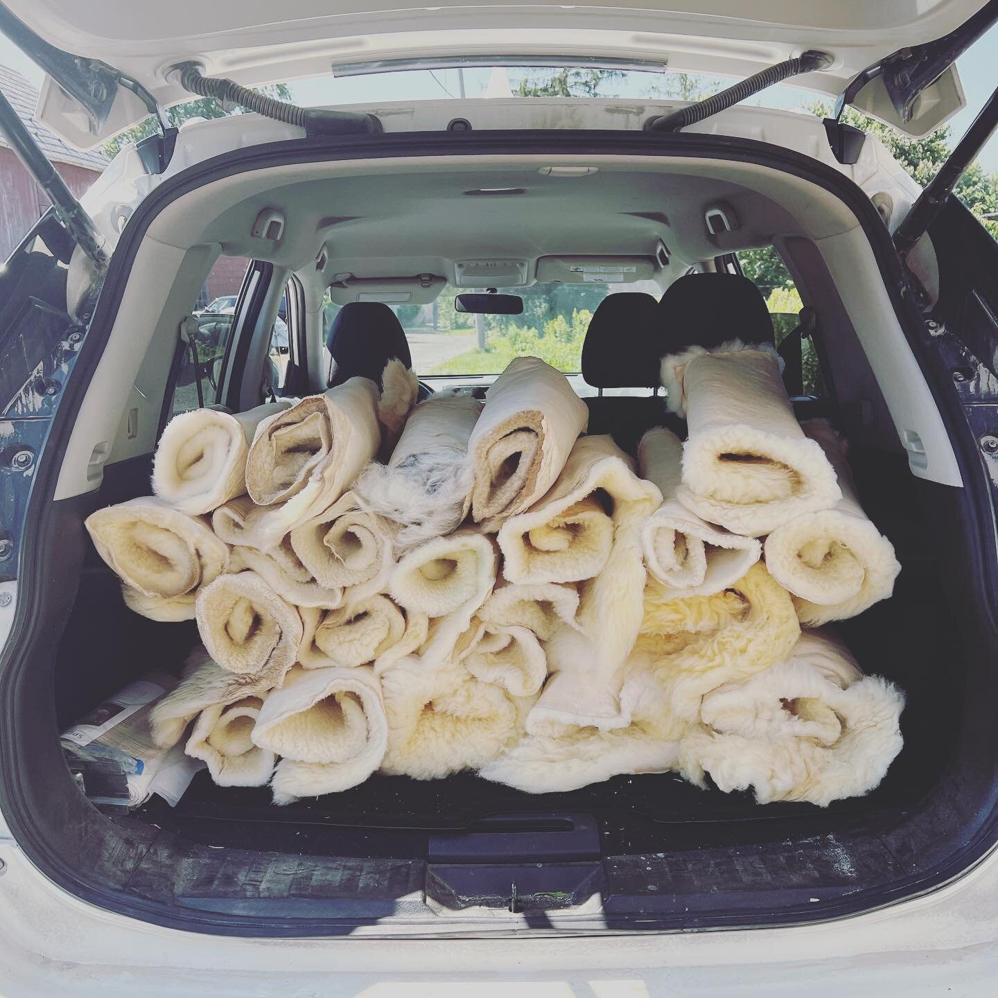 Back in stock with more on the way
🐑🐑🐑🚙🚙🚙
Posted soon to our online store, or DM to order ✨
#sheepfarming 
#sheepskins 
#koselig #supplychainsolutions