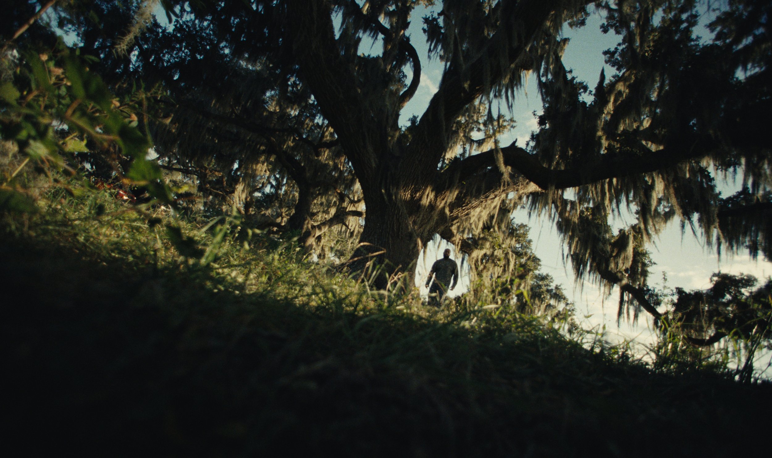 Honda Stage x Isaiah Falls