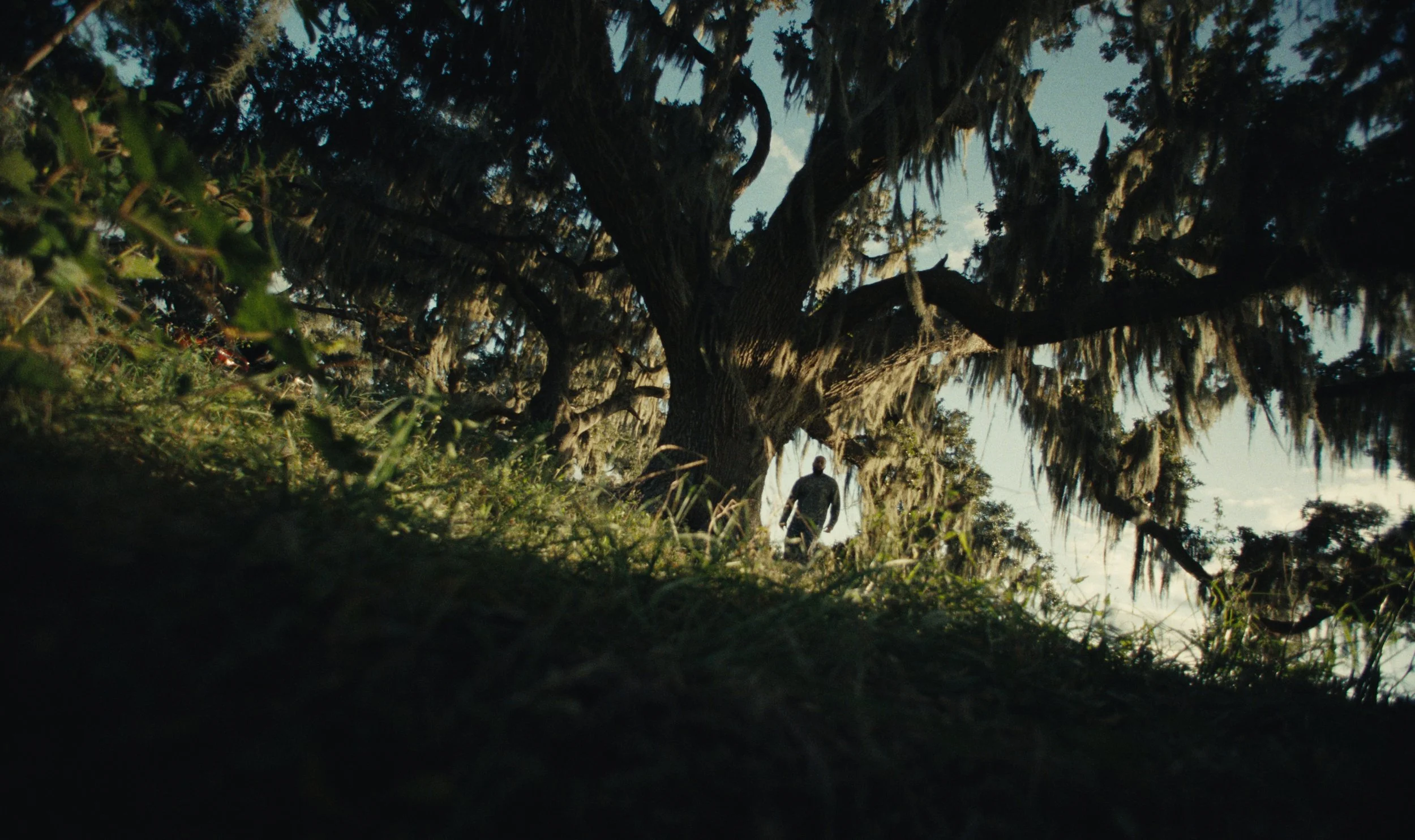 Still 2026-02-06 121926_3.1.1.jpg