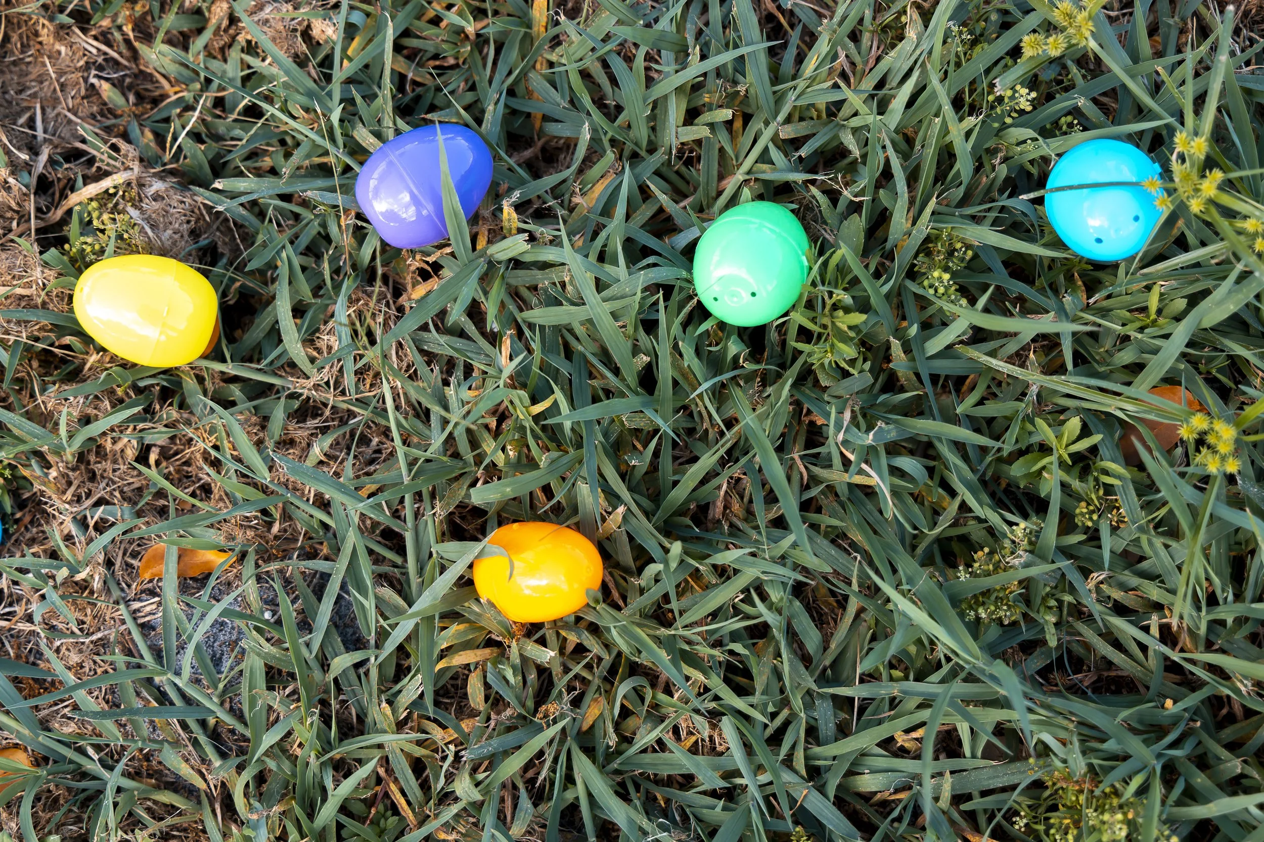 20260405 COAN EASTER_EPRIDE-9644.jpg