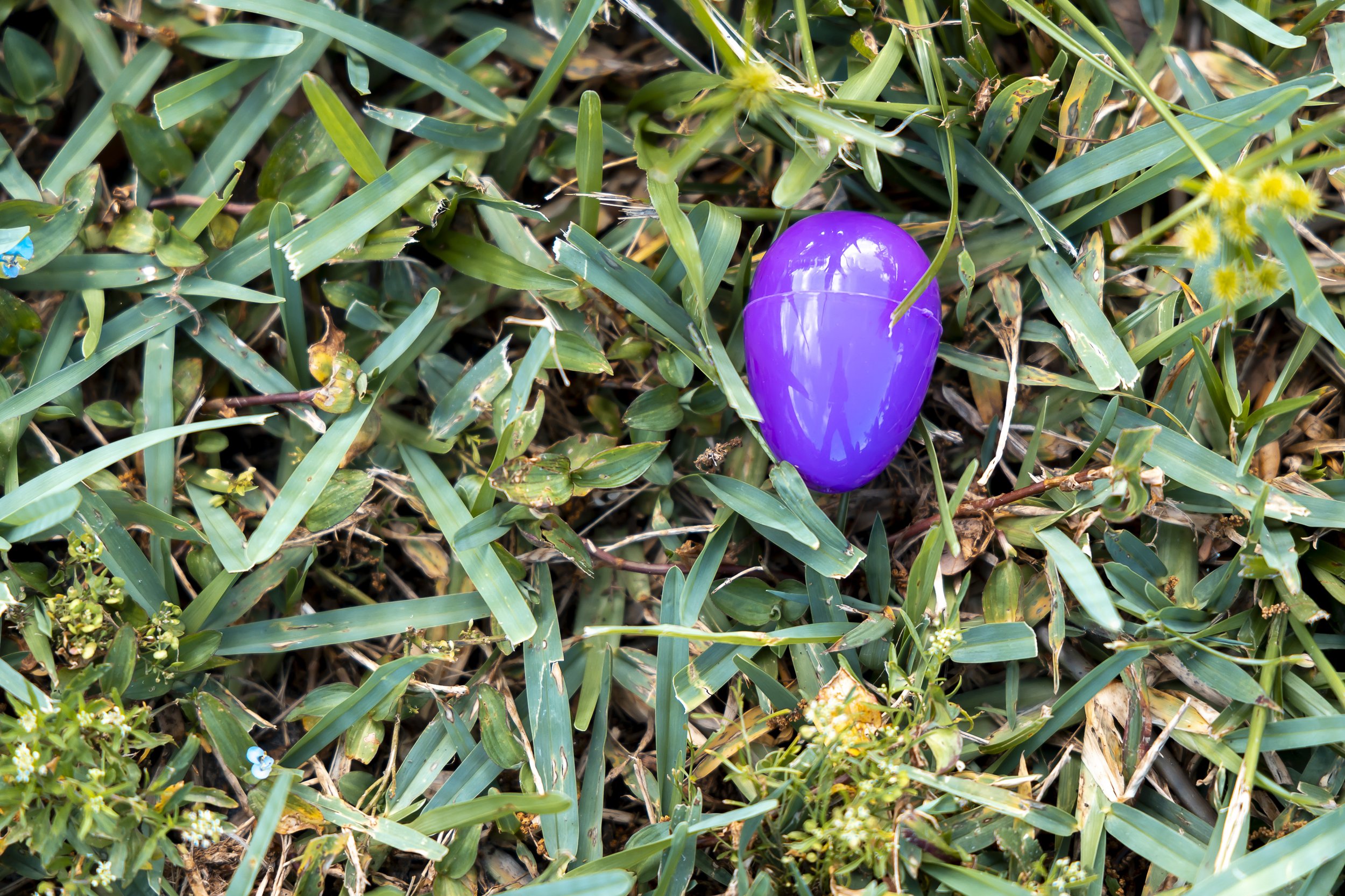 20260405 COAN EASTER_EPRIDE-9647.jpg