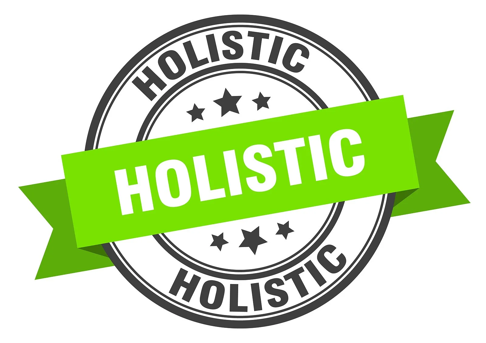 Logo for Holistic with dark letters and a green banner that says holistic