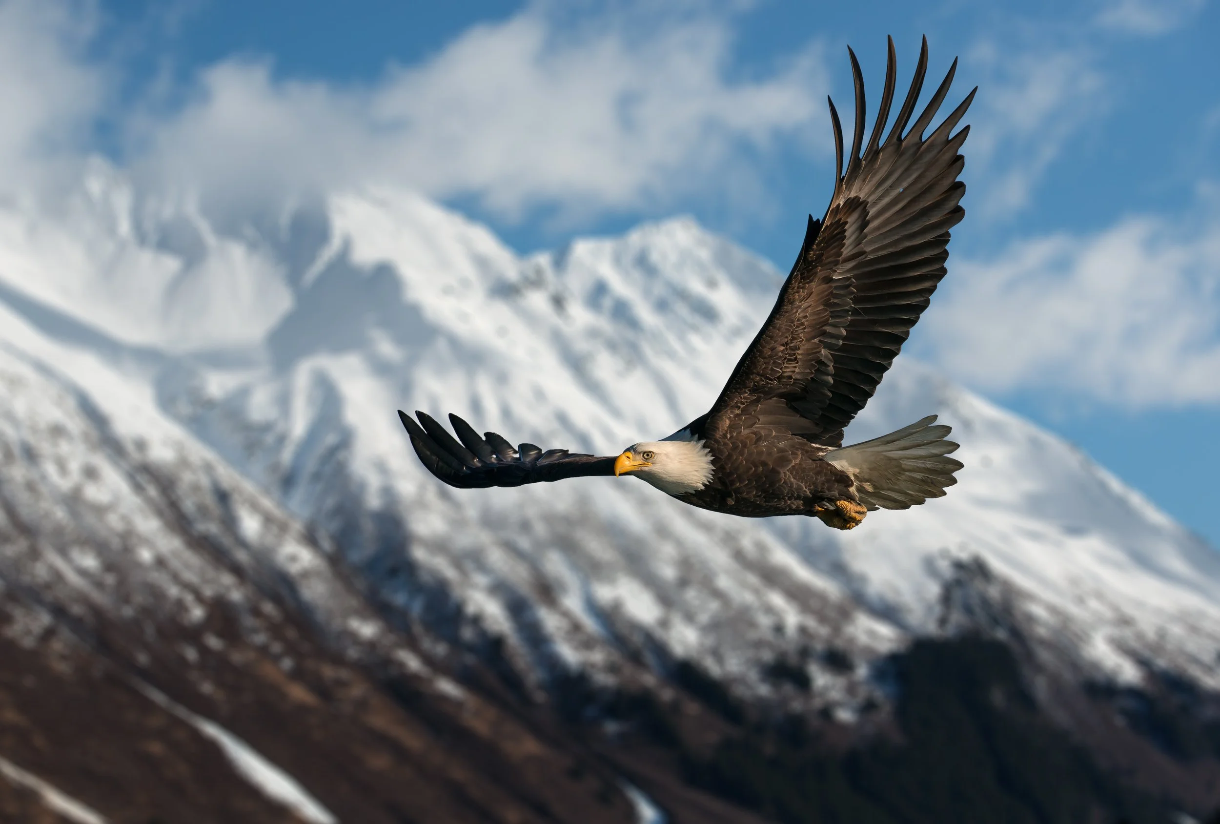 Soaring with the Eagles - Pt. 2