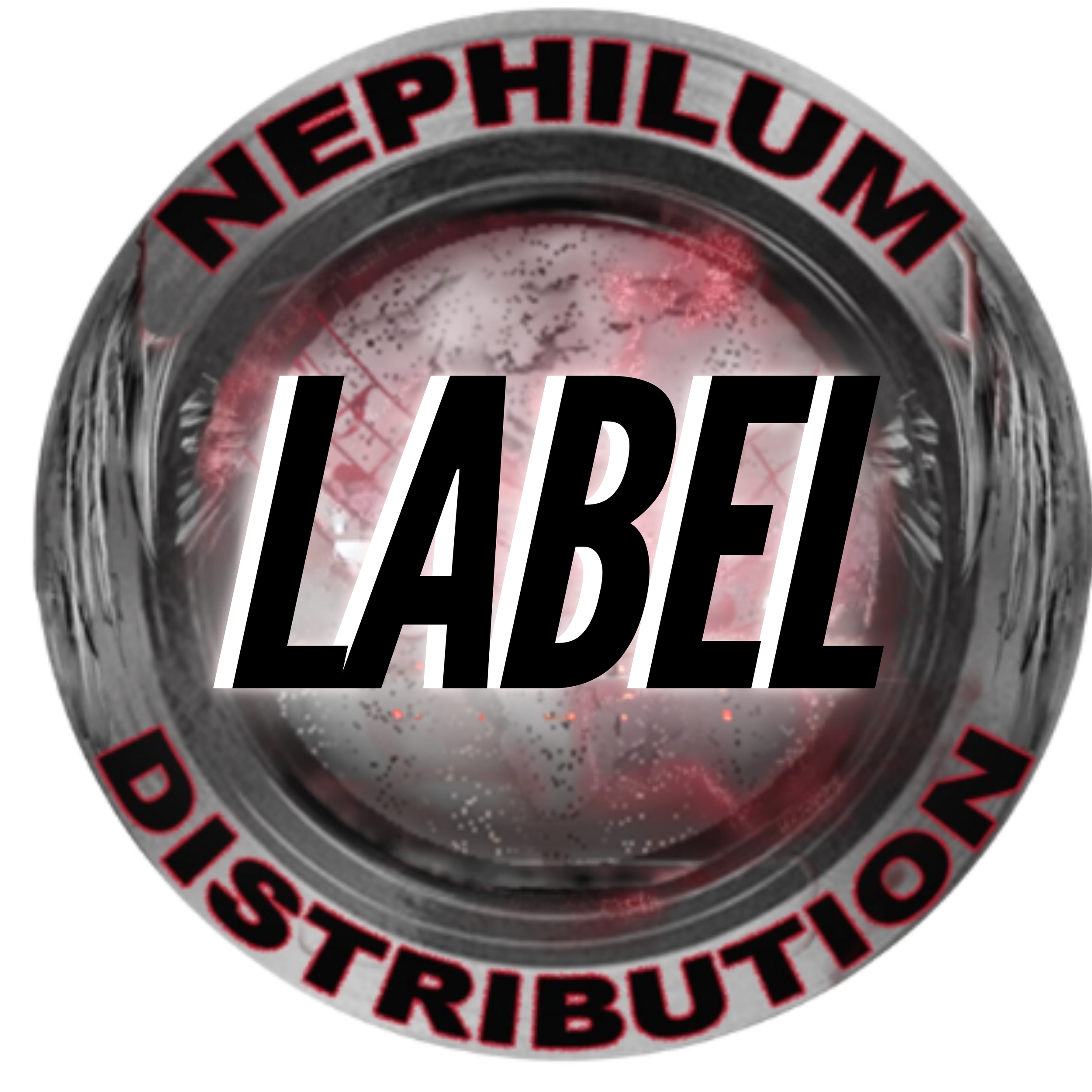 Record Label Plan