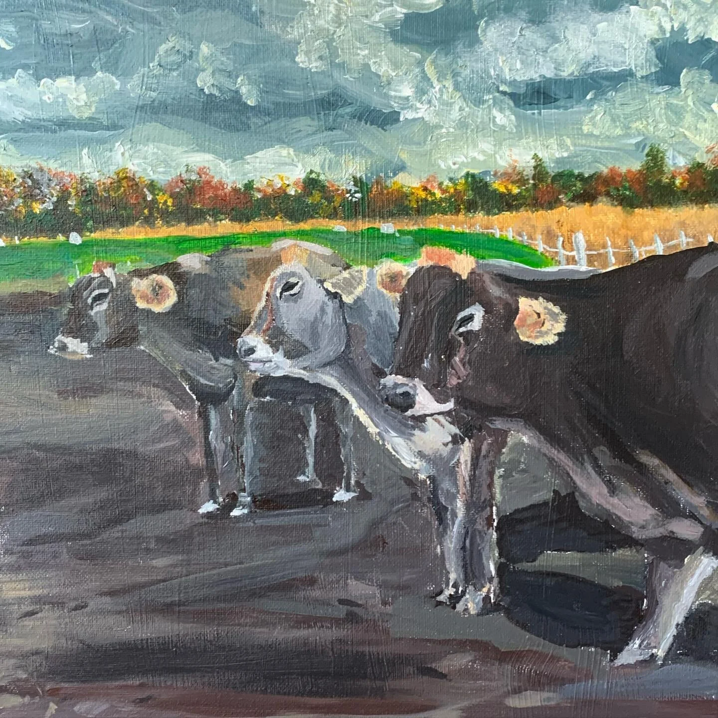 Trio of some cool gals with mohawks.