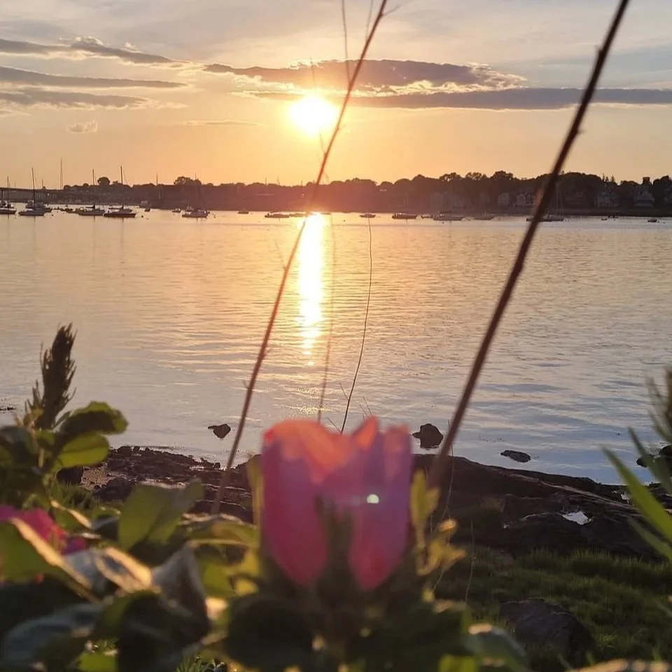 Sunsets are a girls best friend…and maybe your nervous system’s too. 