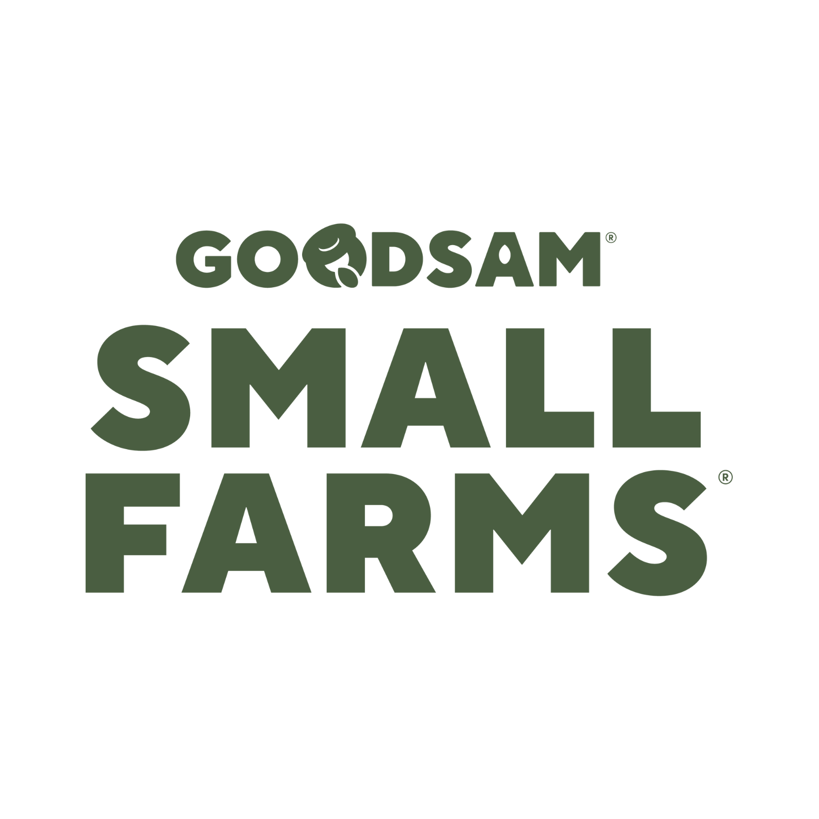 hummingbirds fit to website (35).png