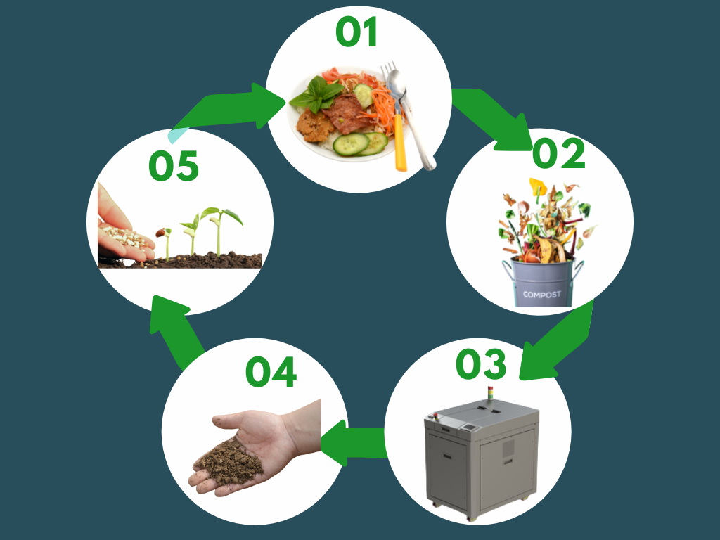 Schéma  montrant les étapes du traitement des déchets alimentaires. Les restes d'assiette vont à la poubelle qui vont dans l'Eco-Cleaner qui réduit ses déchets en amendement sous de poudre qui sert d'engrais pour de nouveaux rendements agricoles
