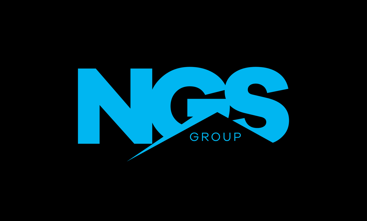 NGS GROUP