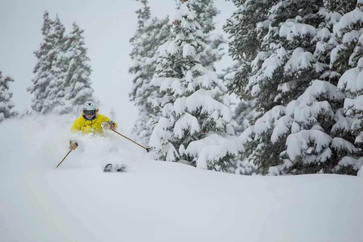 FreshPowder_Skier.jpg