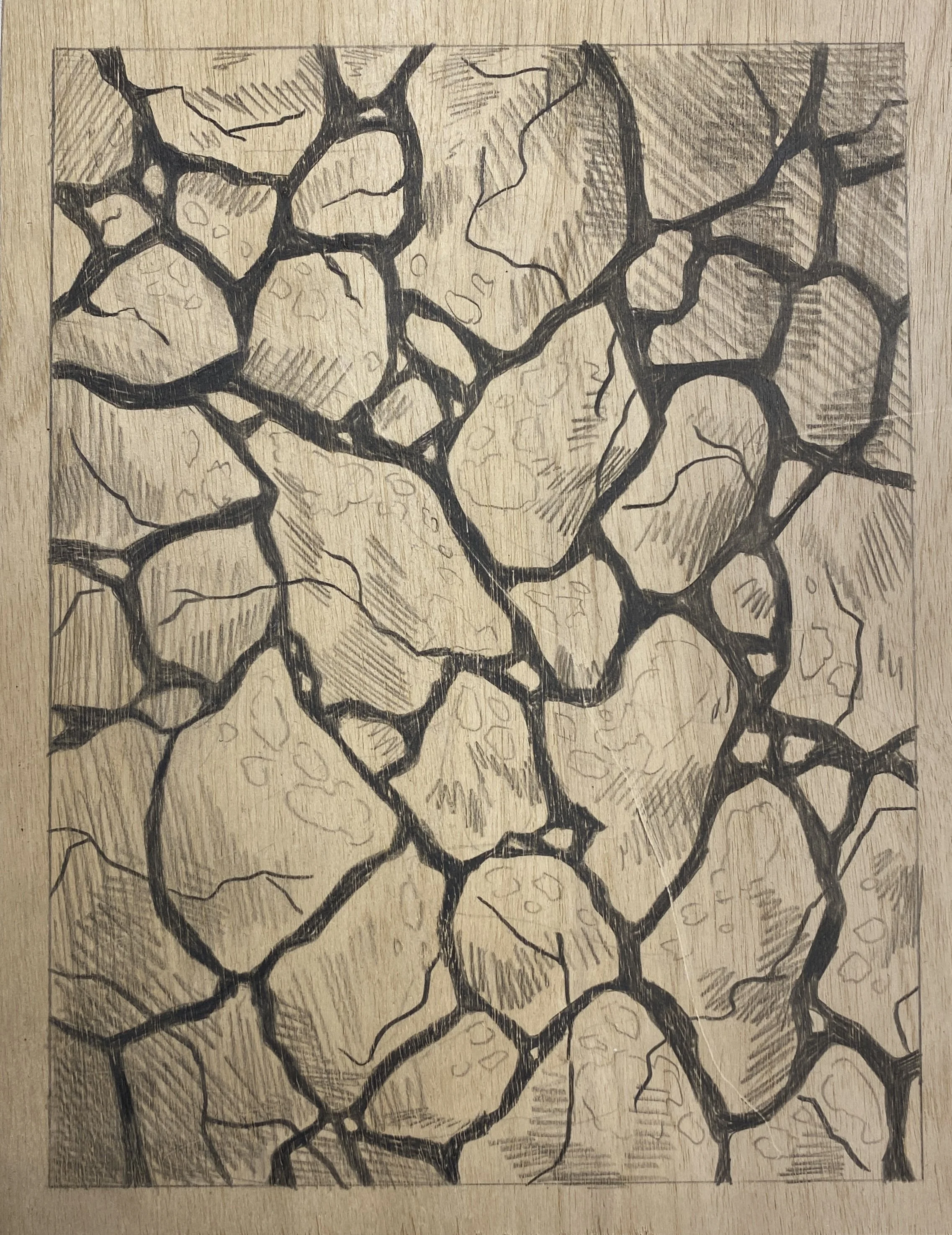  REALMS: Desert  graphite on panel  9 × 12 in   2025 