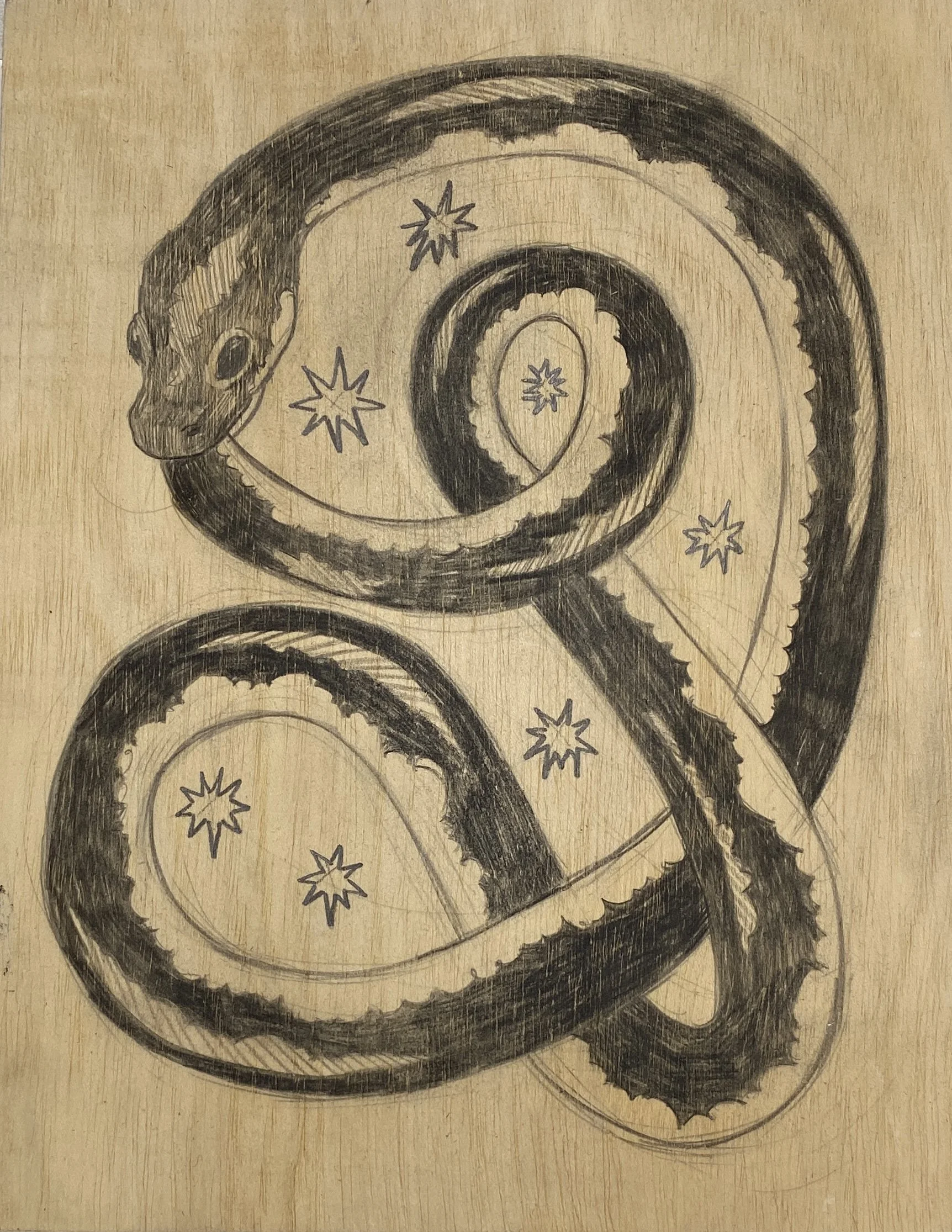  TOTEMS: Snake  graphite on panel  9 × 12 in  2025 