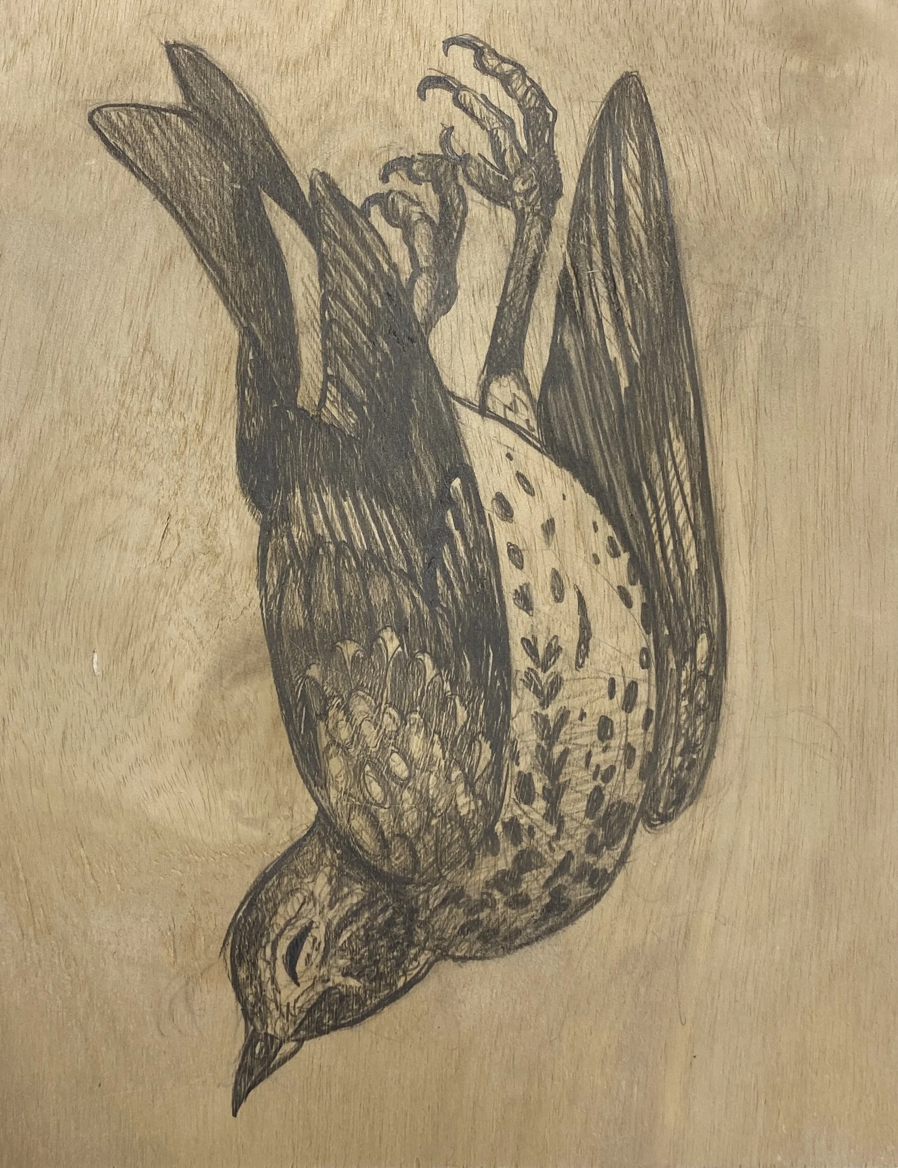  INDIES: Death  graphite on panel  9 × 12 in  2025 