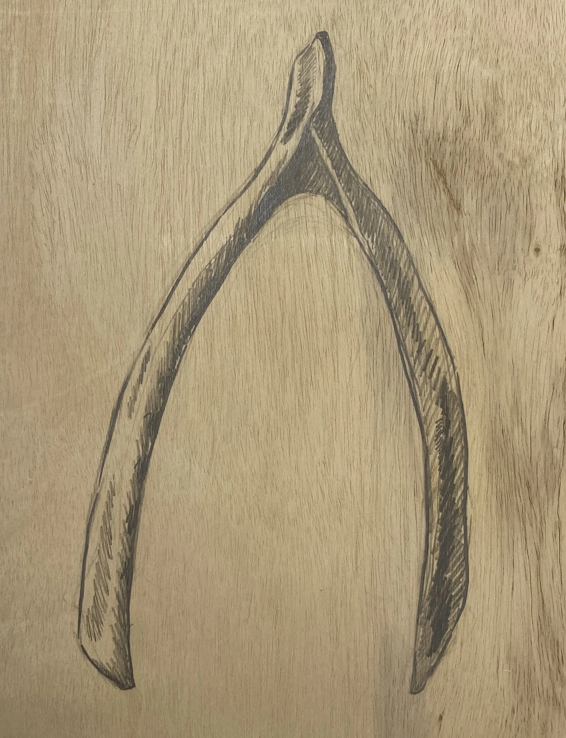  INDIES: Wishes  graphite on panel  9 × 12 in  2025 
