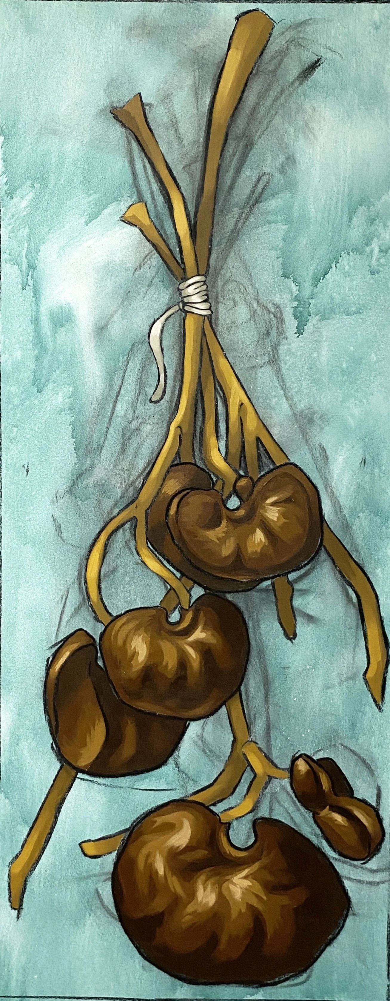  Twined EarPod  acrylic paint and charcoal on canvas  24.5 x 62 in  2026 