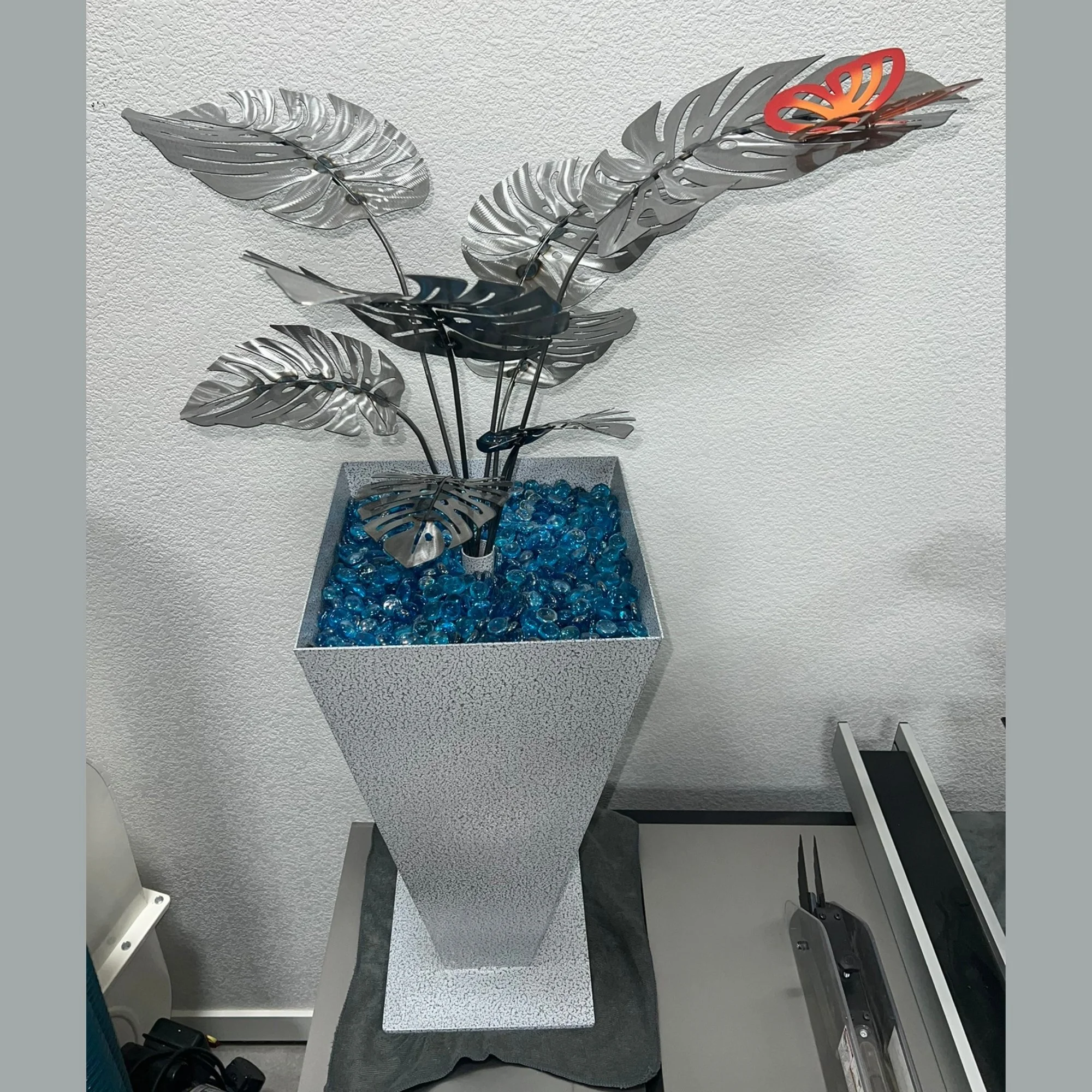 Monstera Plant